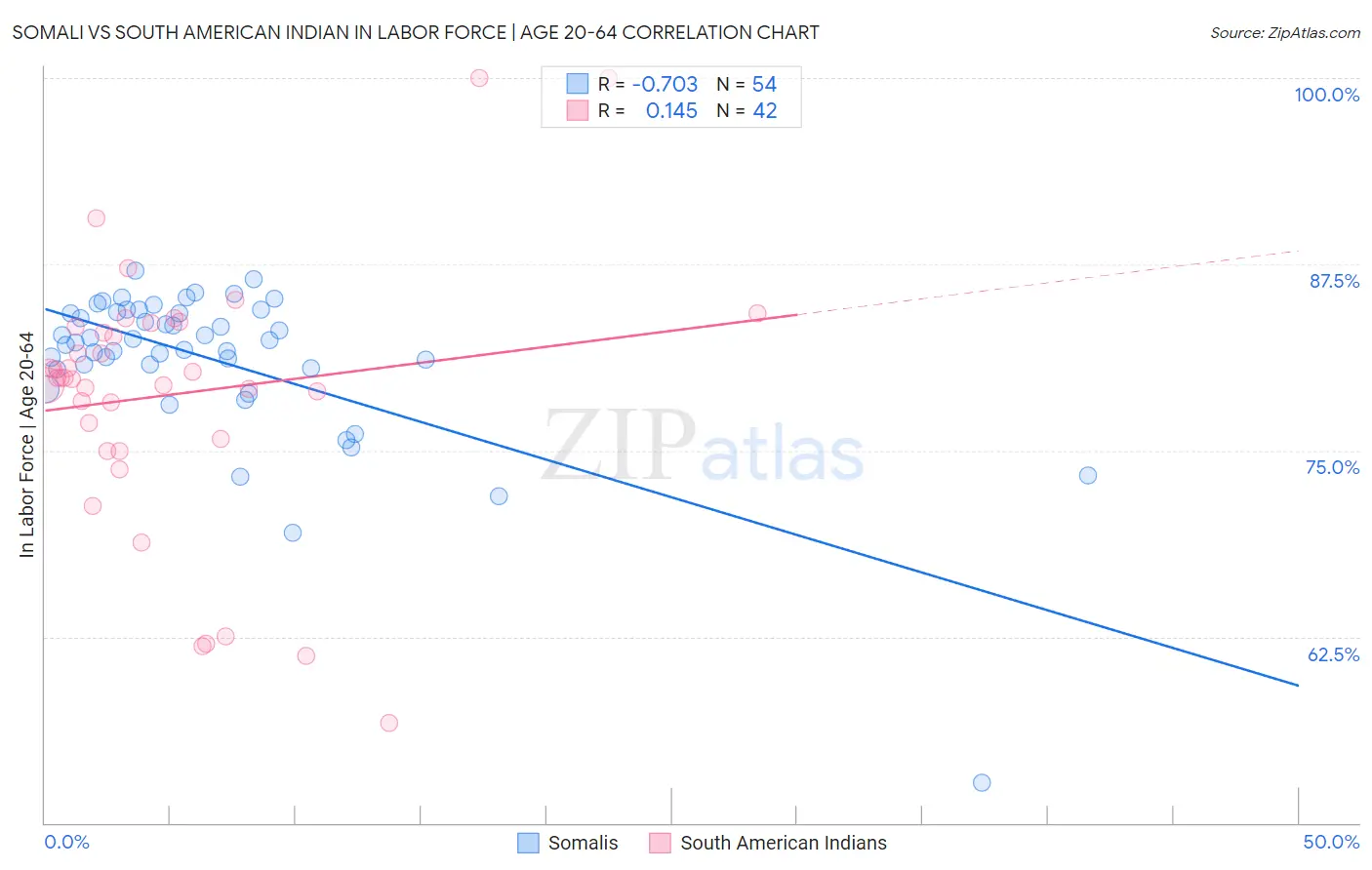 Somali vs South American Indian In Labor Force | Age 20-64