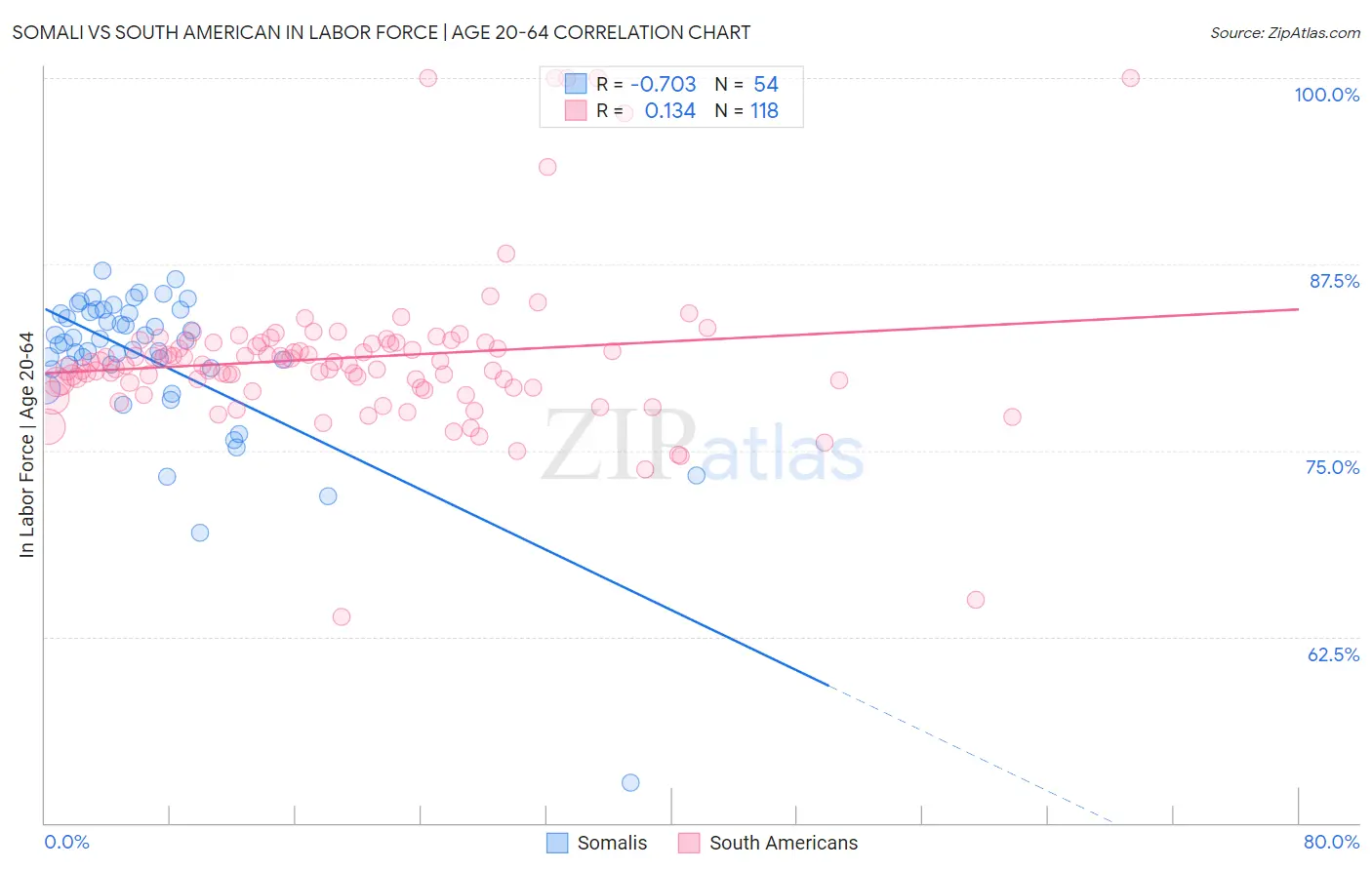 Somali vs South American In Labor Force | Age 20-64