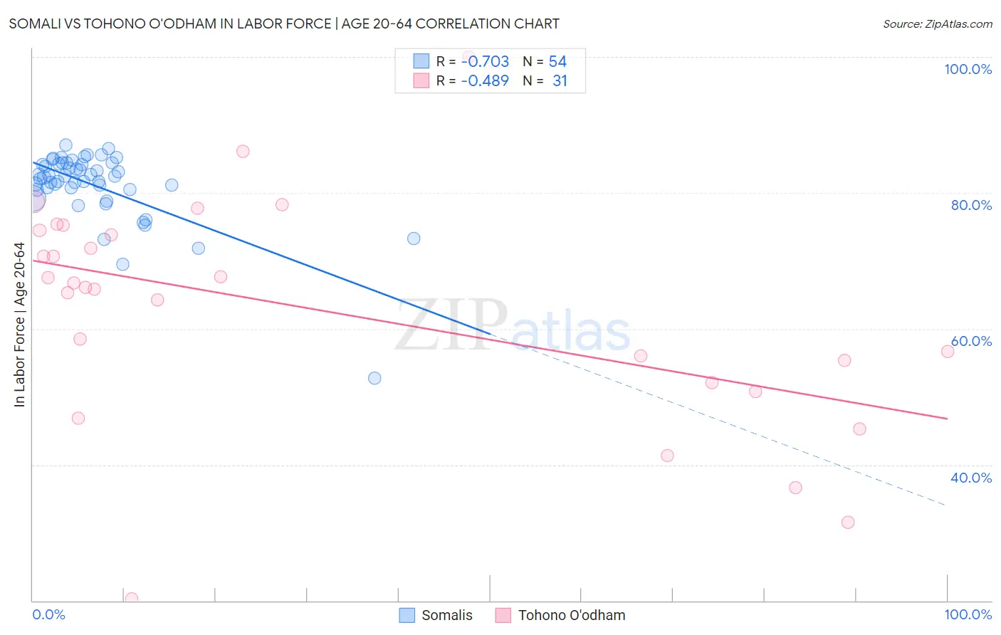 Somali vs Tohono O'odham In Labor Force | Age 20-64