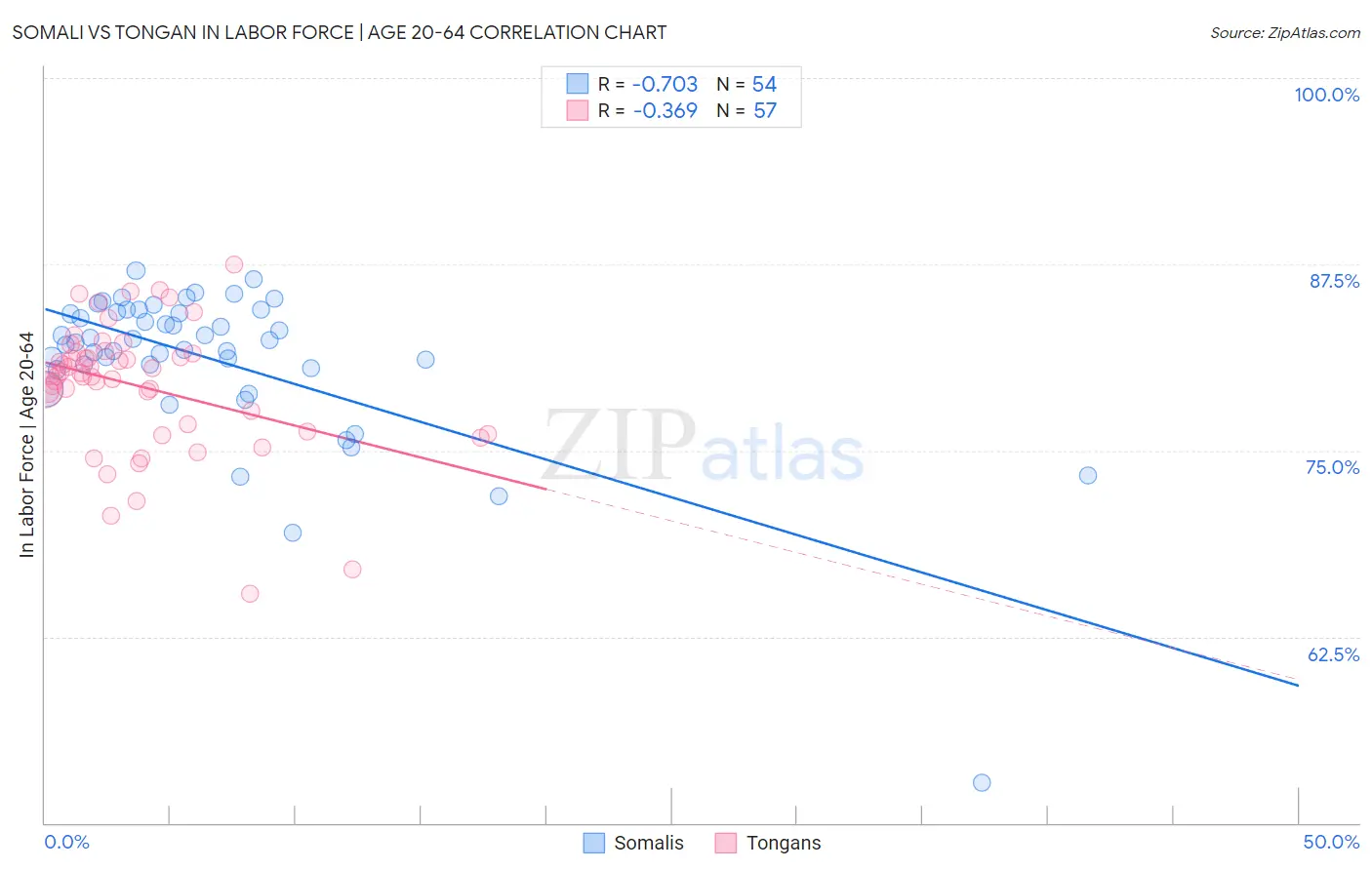 Somali vs Tongan In Labor Force | Age 20-64