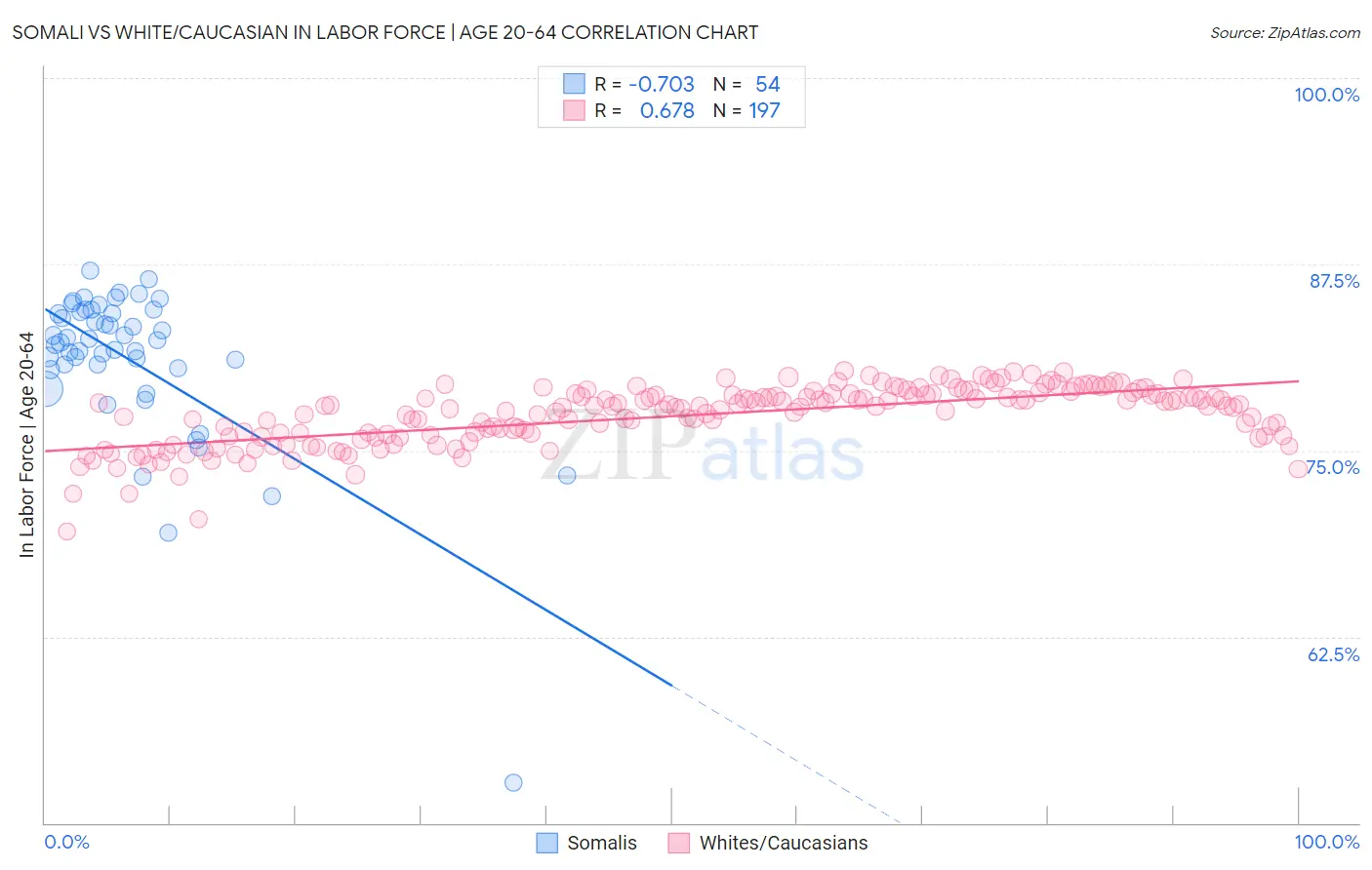 Somali vs White/Caucasian In Labor Force | Age 20-64