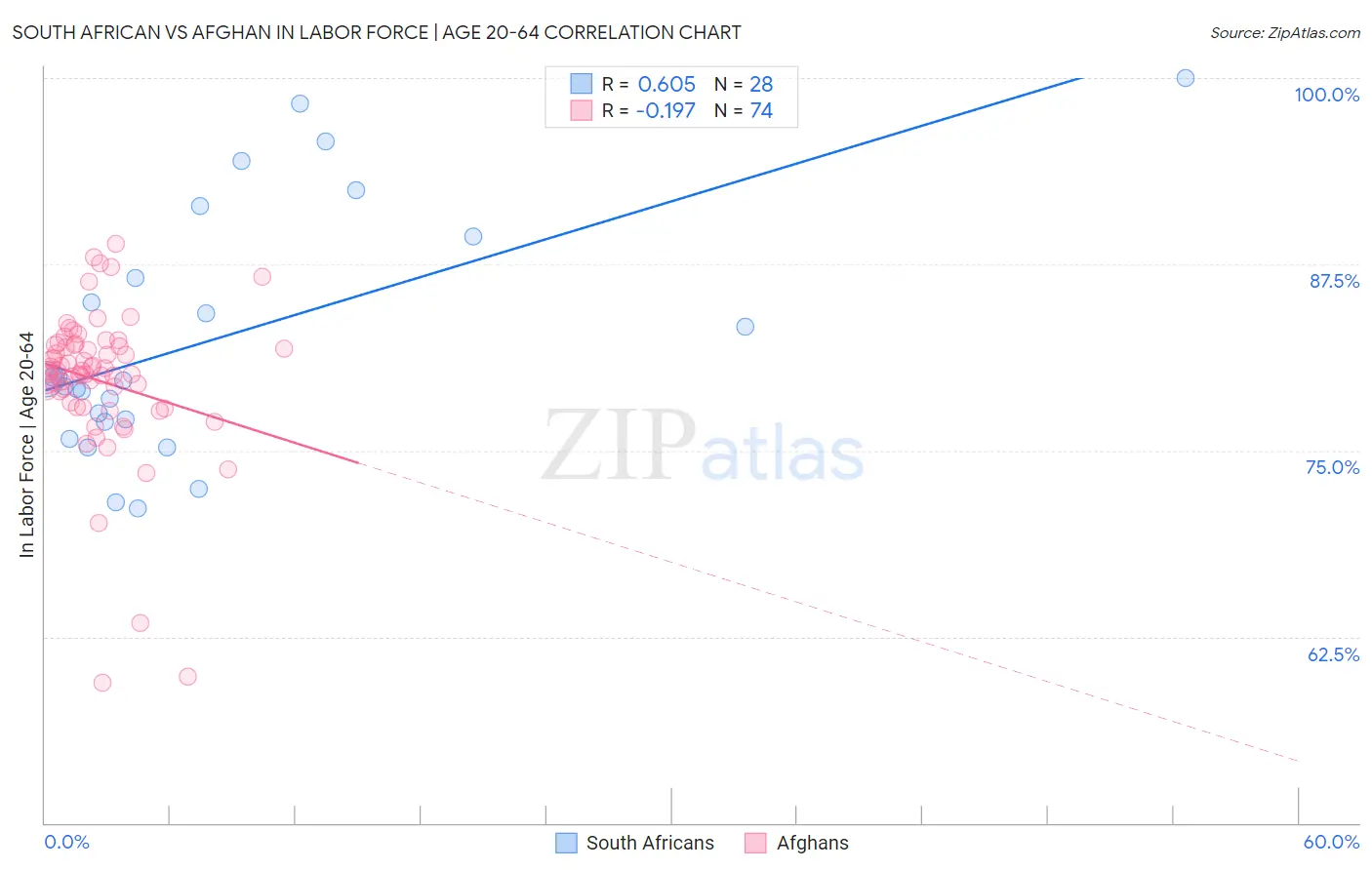 South African vs Afghan In Labor Force | Age 20-64