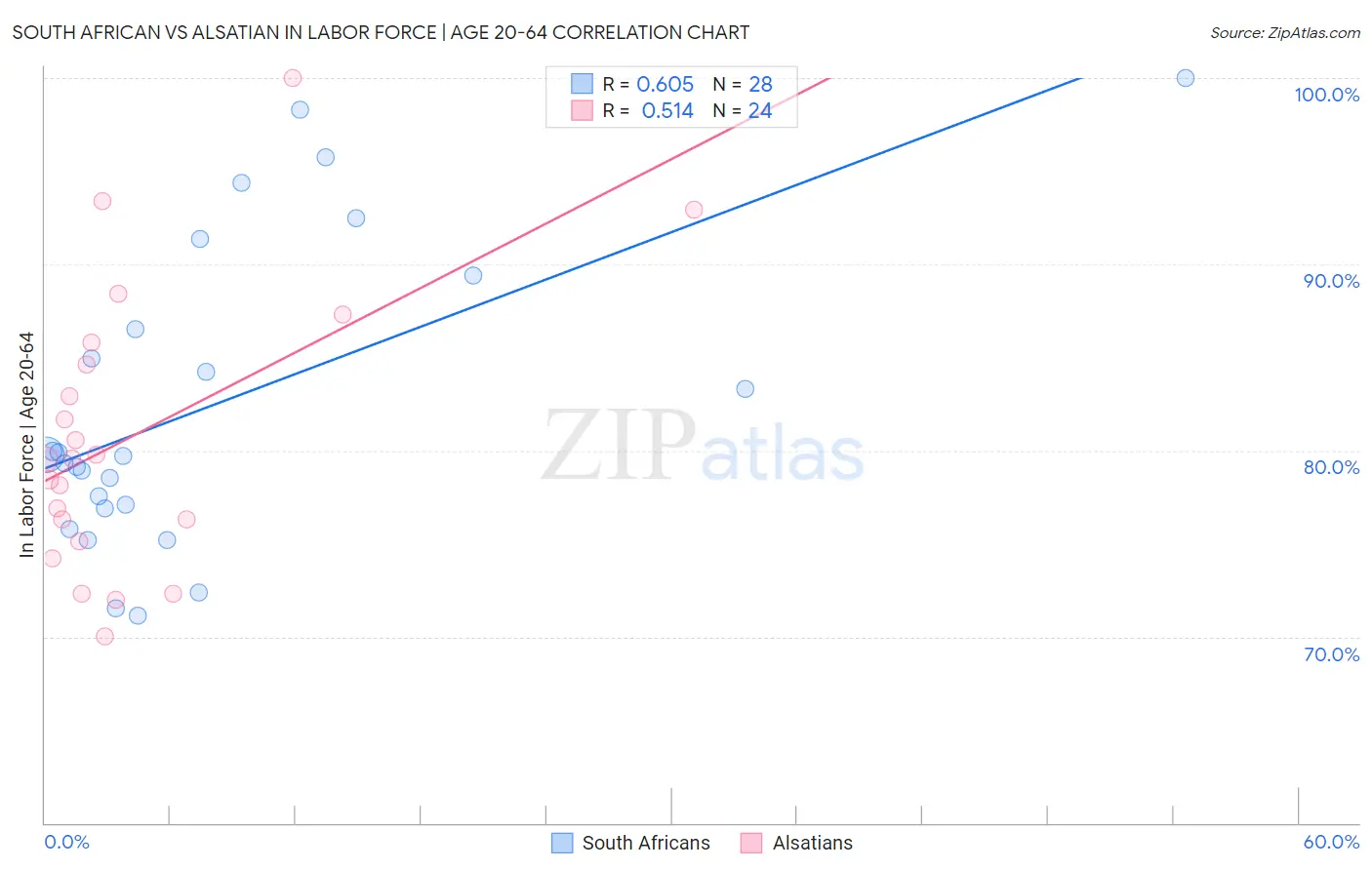 South African vs Alsatian In Labor Force | Age 20-64