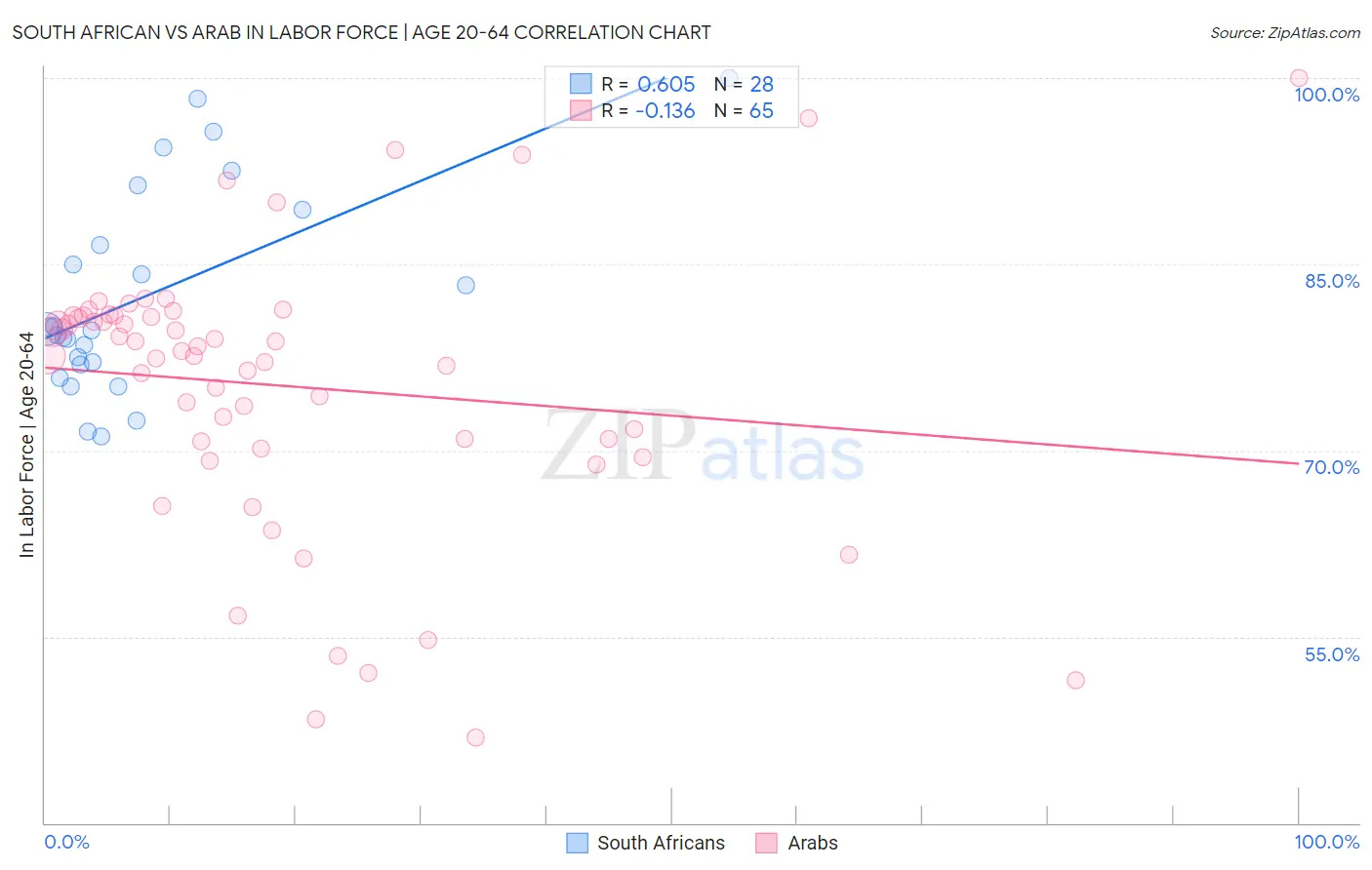 South African vs Arab In Labor Force | Age 20-64
