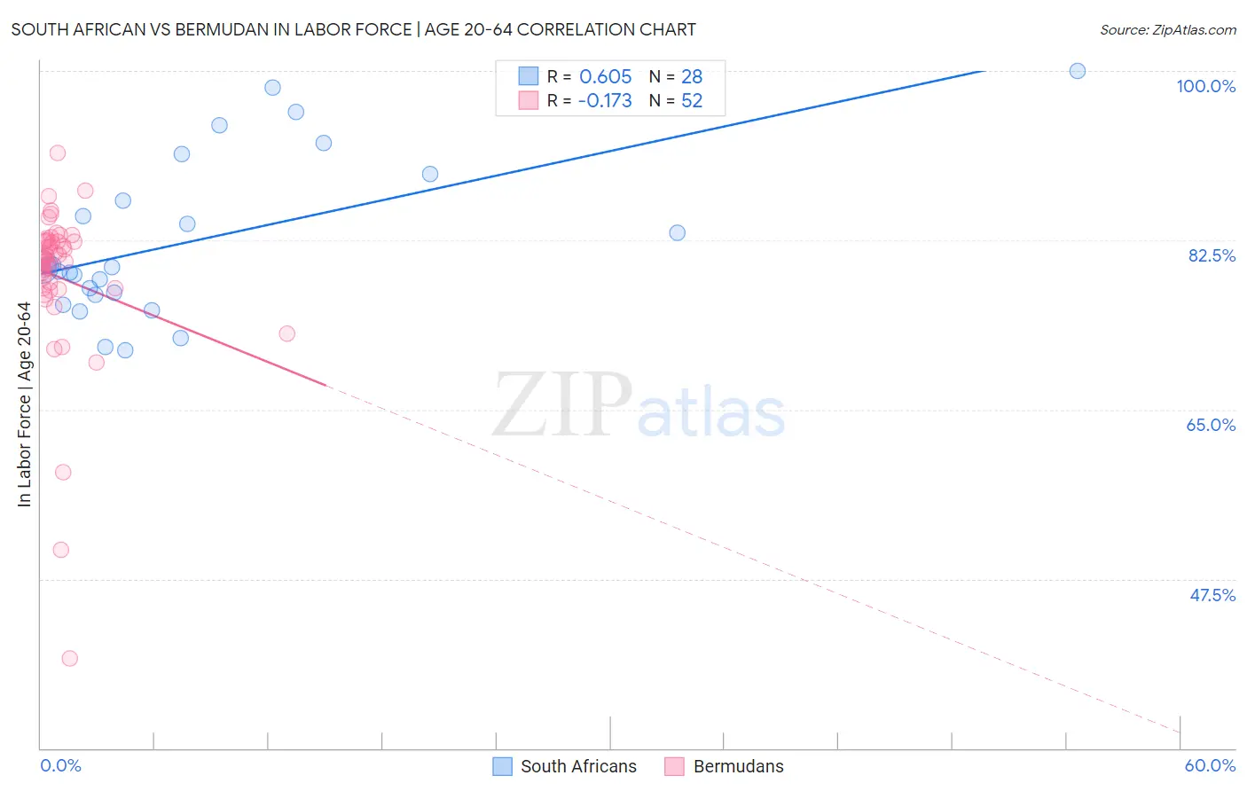 South African vs Bermudan In Labor Force | Age 20-64