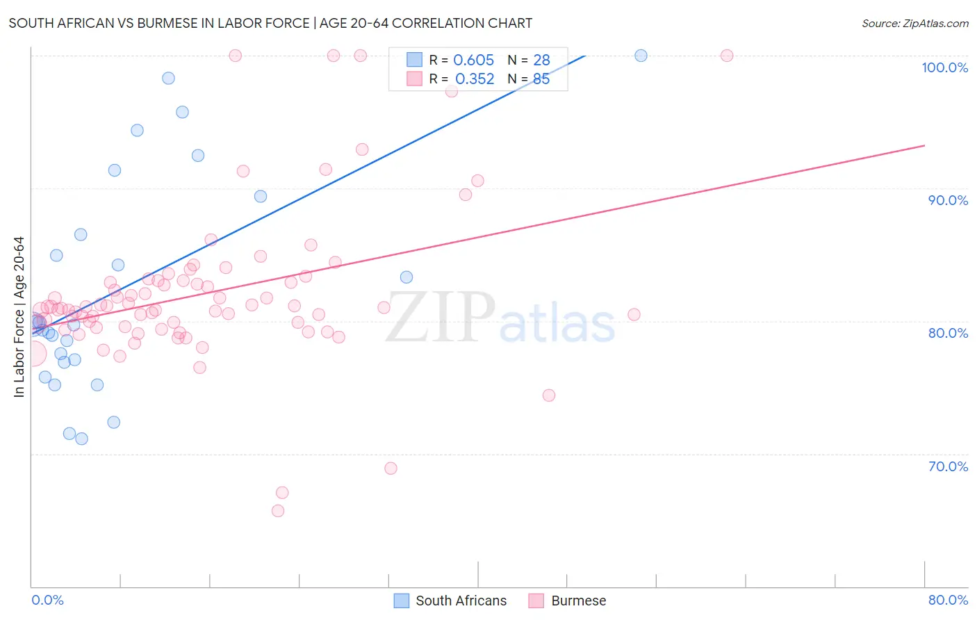 South African vs Burmese In Labor Force | Age 20-64