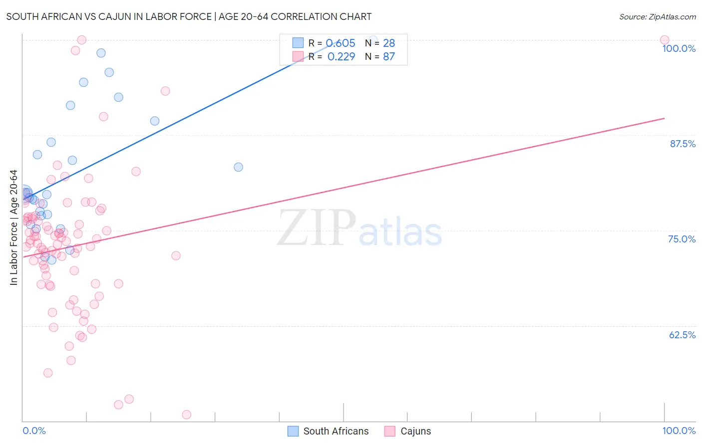 South African vs Cajun In Labor Force | Age 20-64