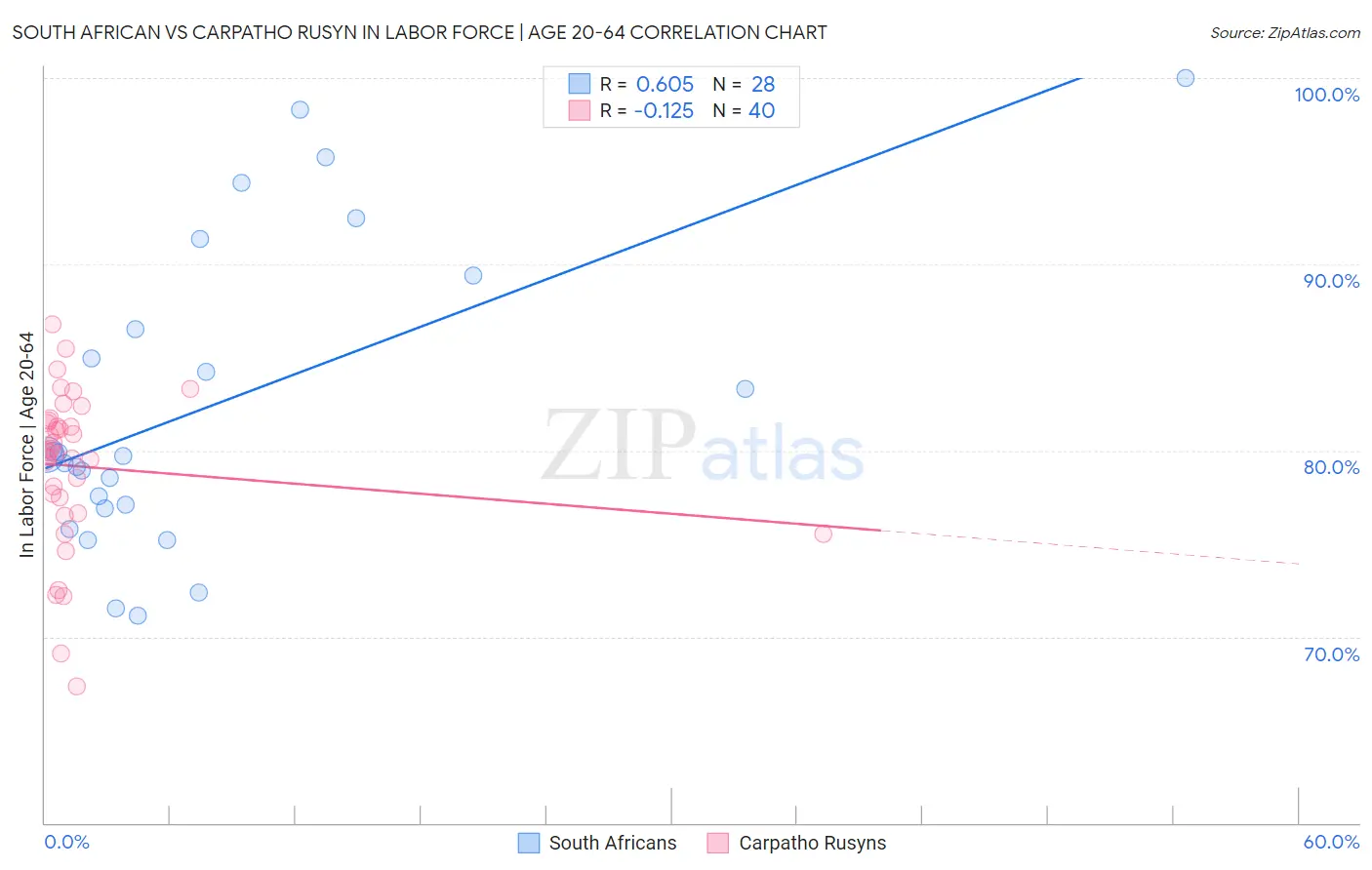 South African vs Carpatho Rusyn In Labor Force | Age 20-64