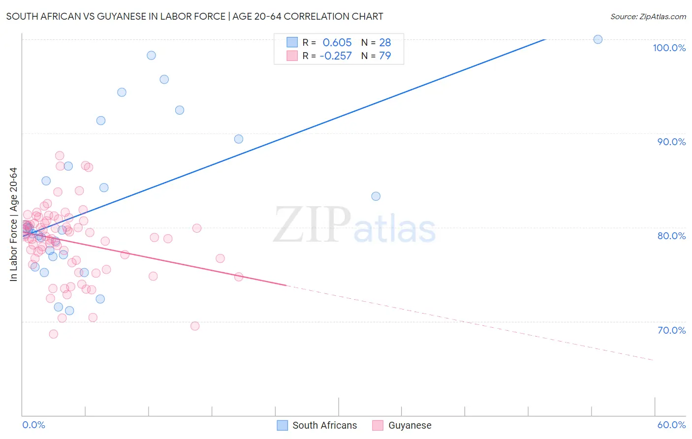 South African vs Guyanese In Labor Force | Age 20-64