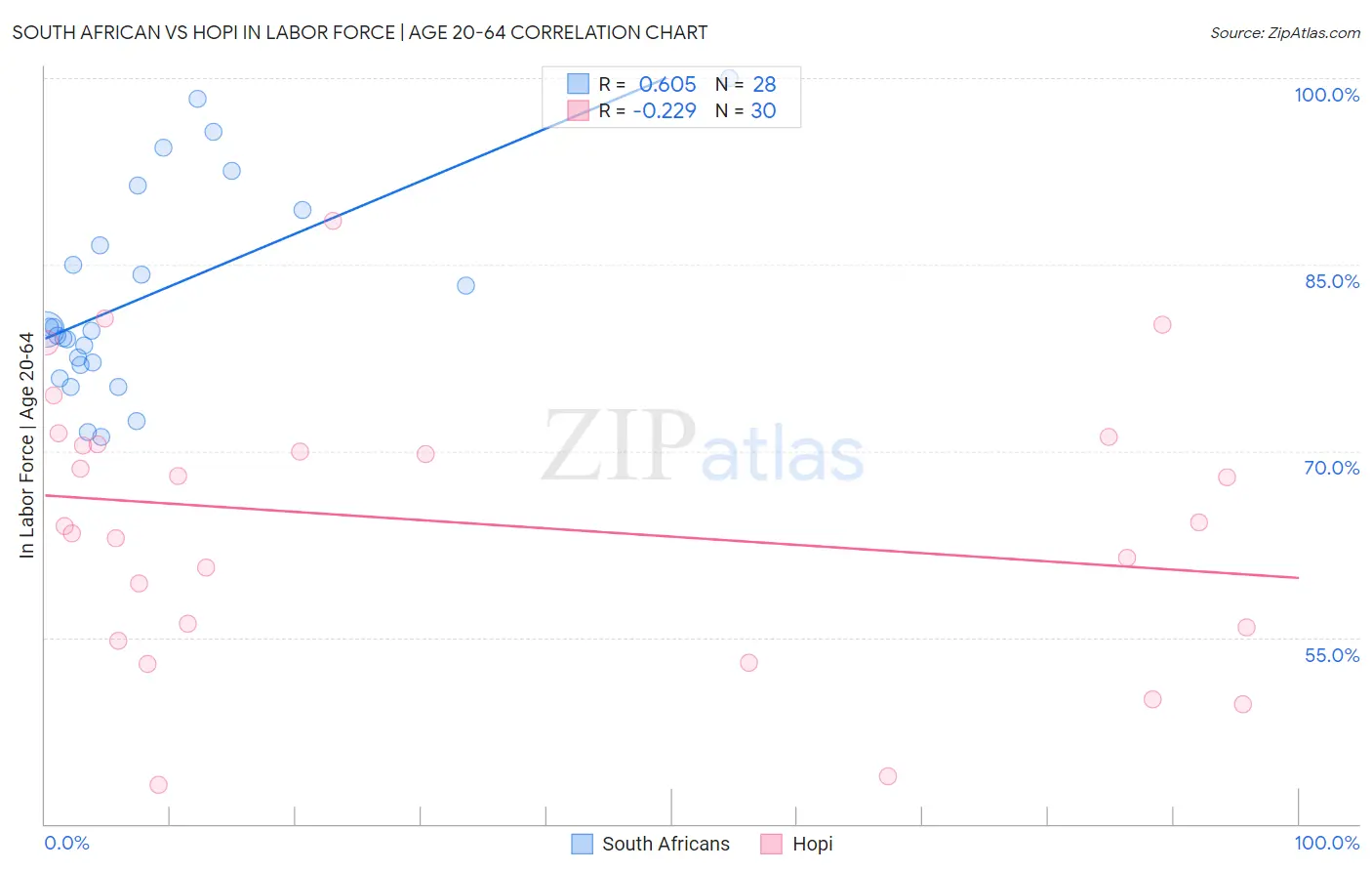 South African vs Hopi In Labor Force | Age 20-64
