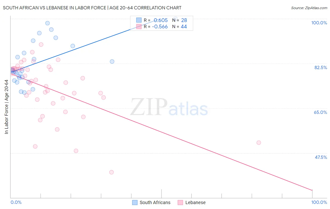 South African vs Lebanese In Labor Force | Age 20-64