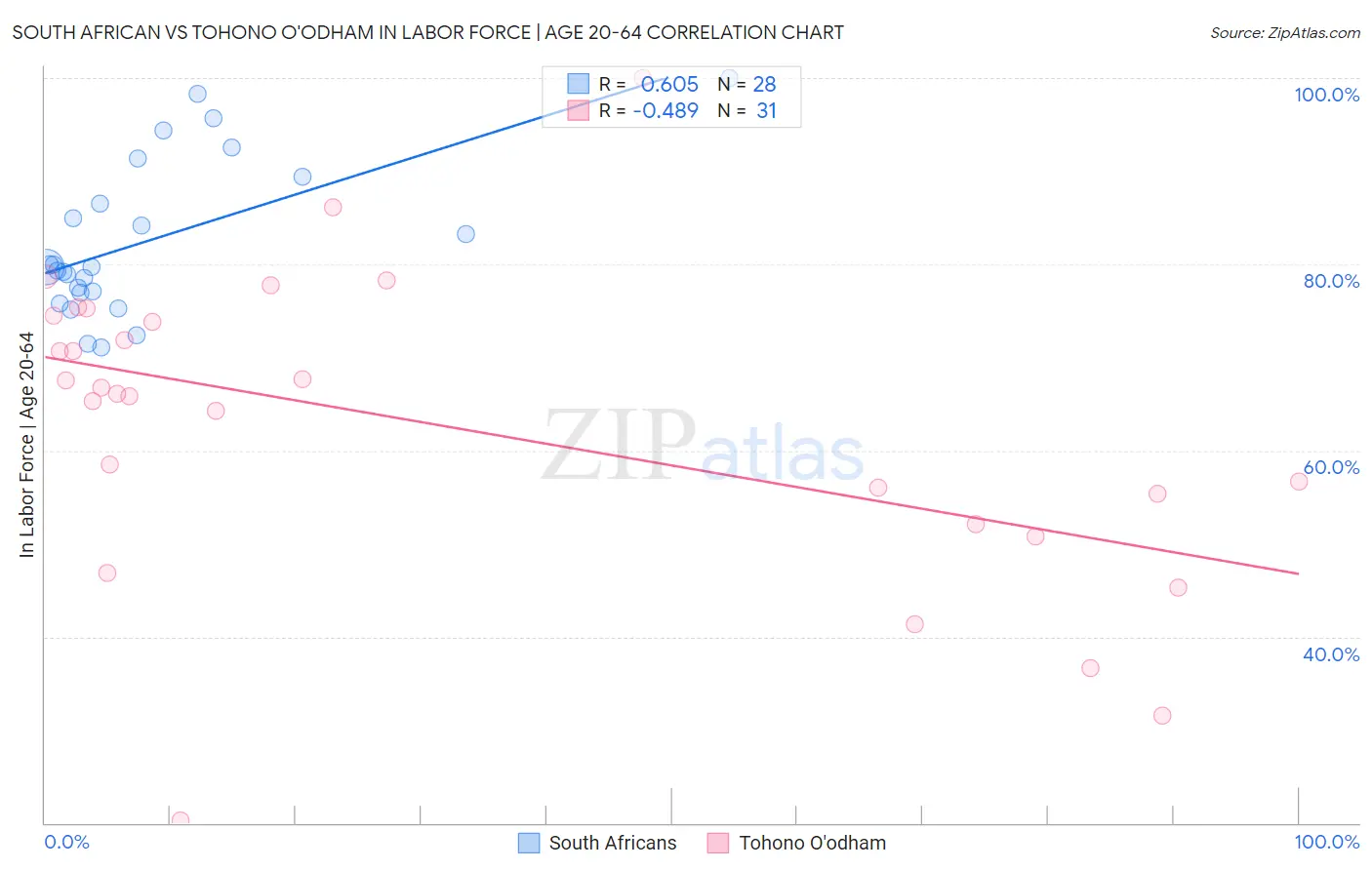 South African vs Tohono O'odham In Labor Force | Age 20-64