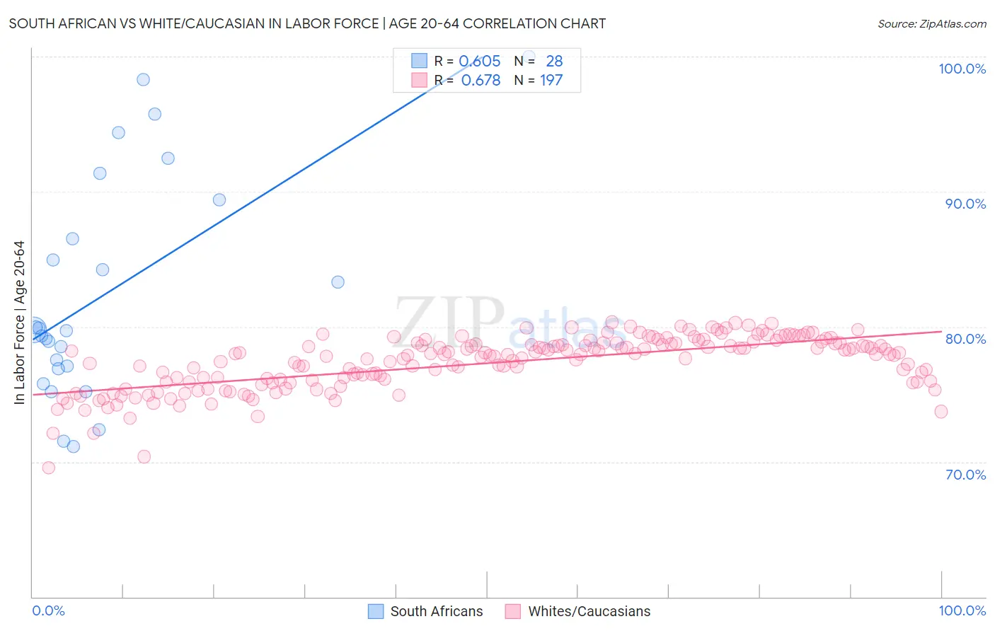 South African vs White/Caucasian In Labor Force | Age 20-64