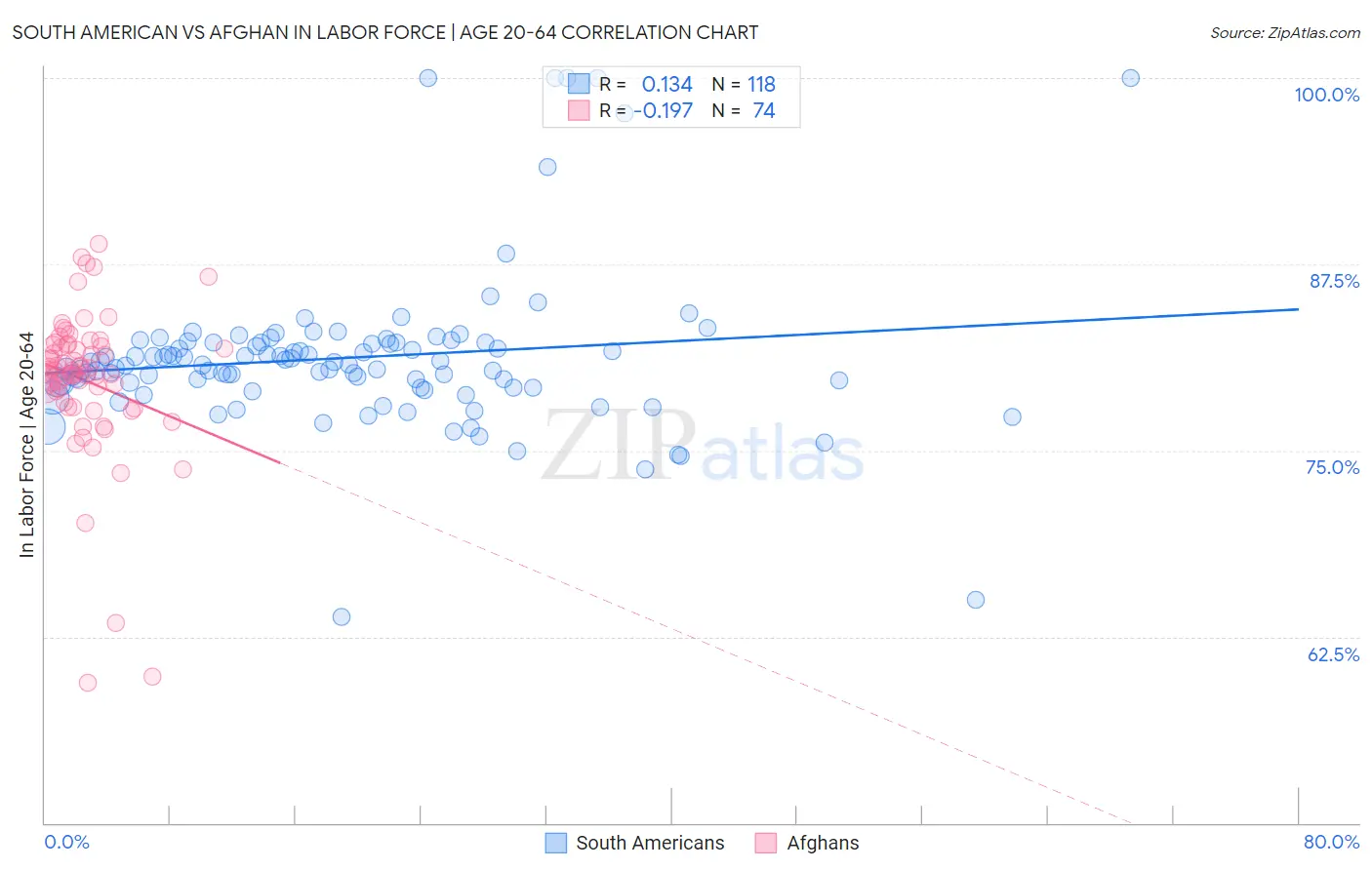 South American vs Afghan In Labor Force | Age 20-64
