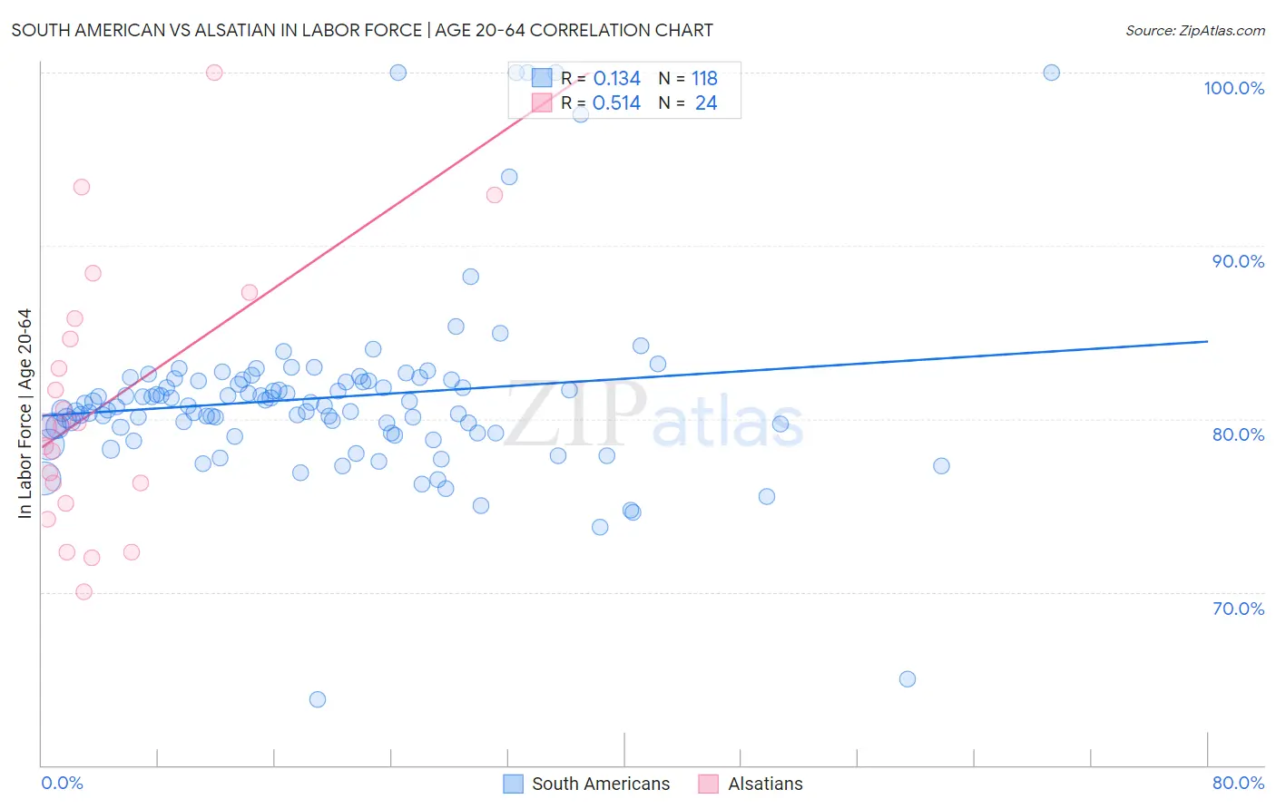 South American vs Alsatian In Labor Force | Age 20-64