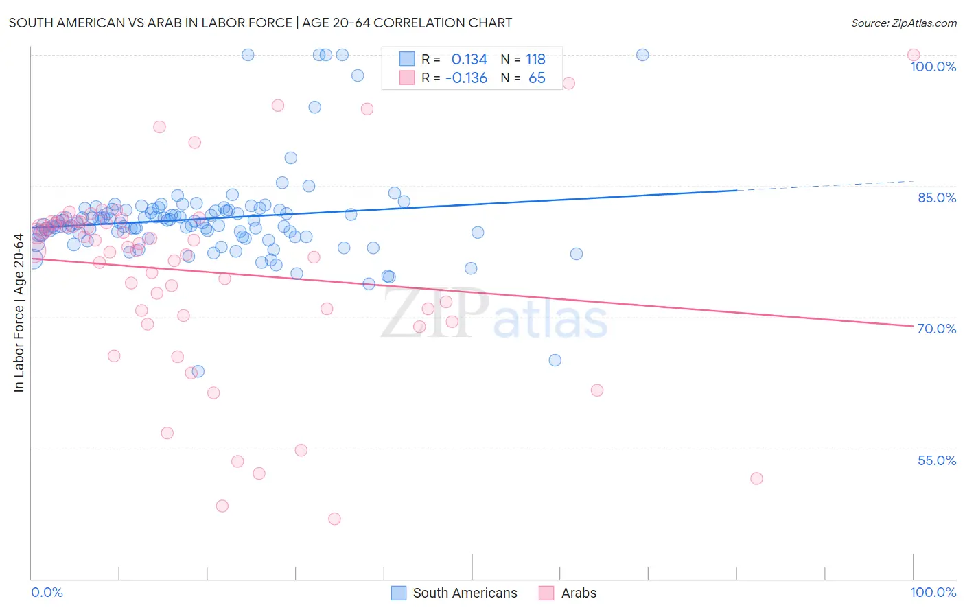 South American vs Arab In Labor Force | Age 20-64