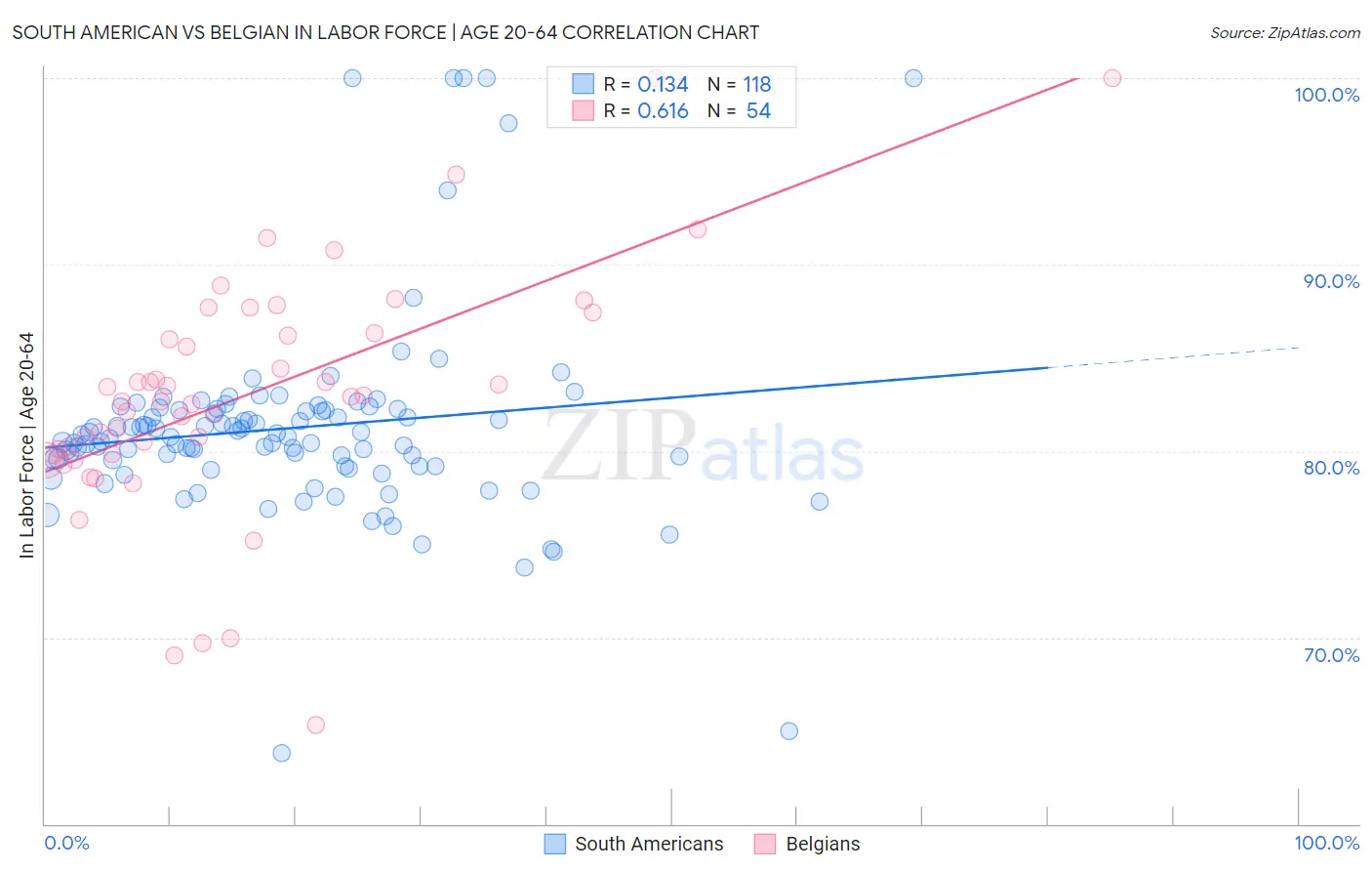 South American vs Belgian In Labor Force | Age 20-64