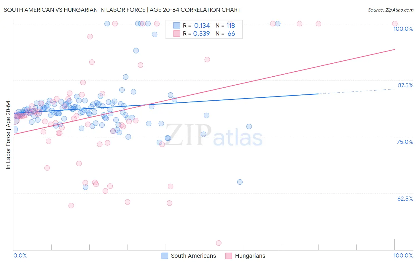 South American vs Hungarian In Labor Force | Age 20-64