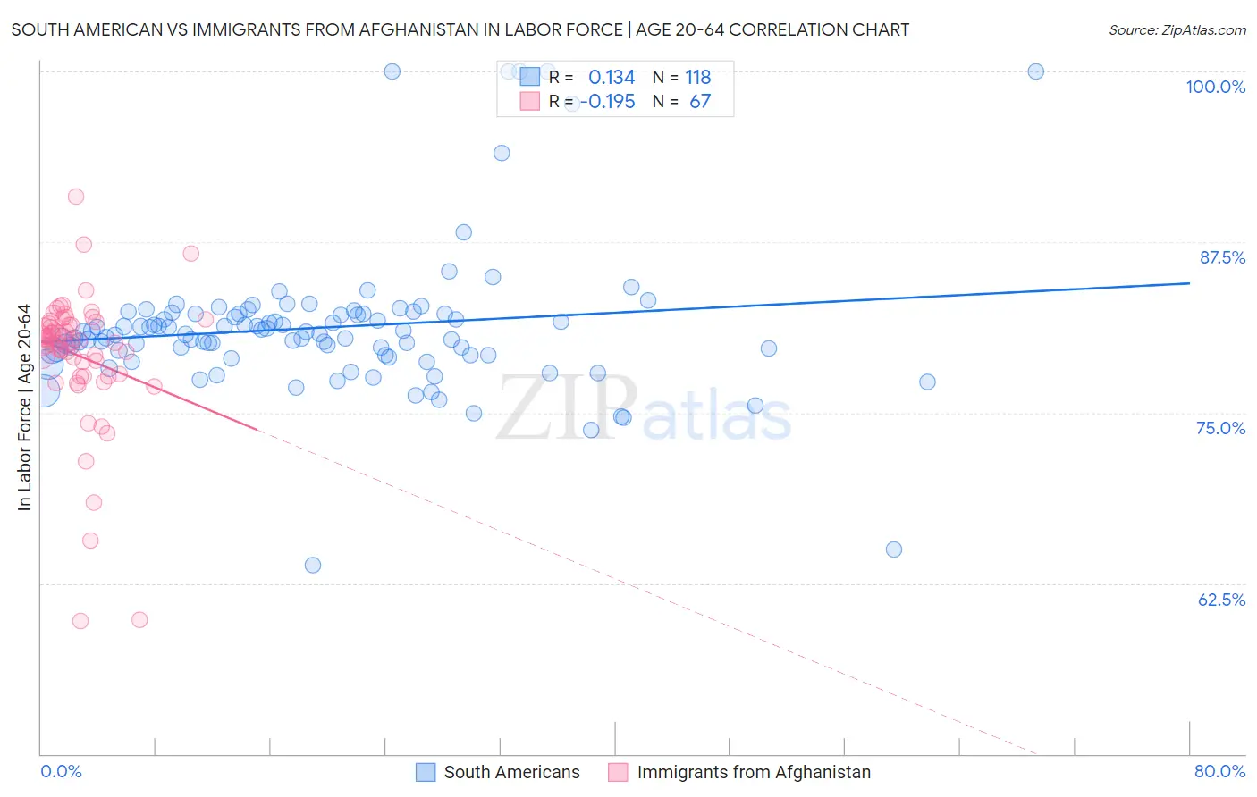 South American vs Immigrants from Afghanistan In Labor Force | Age 20-64