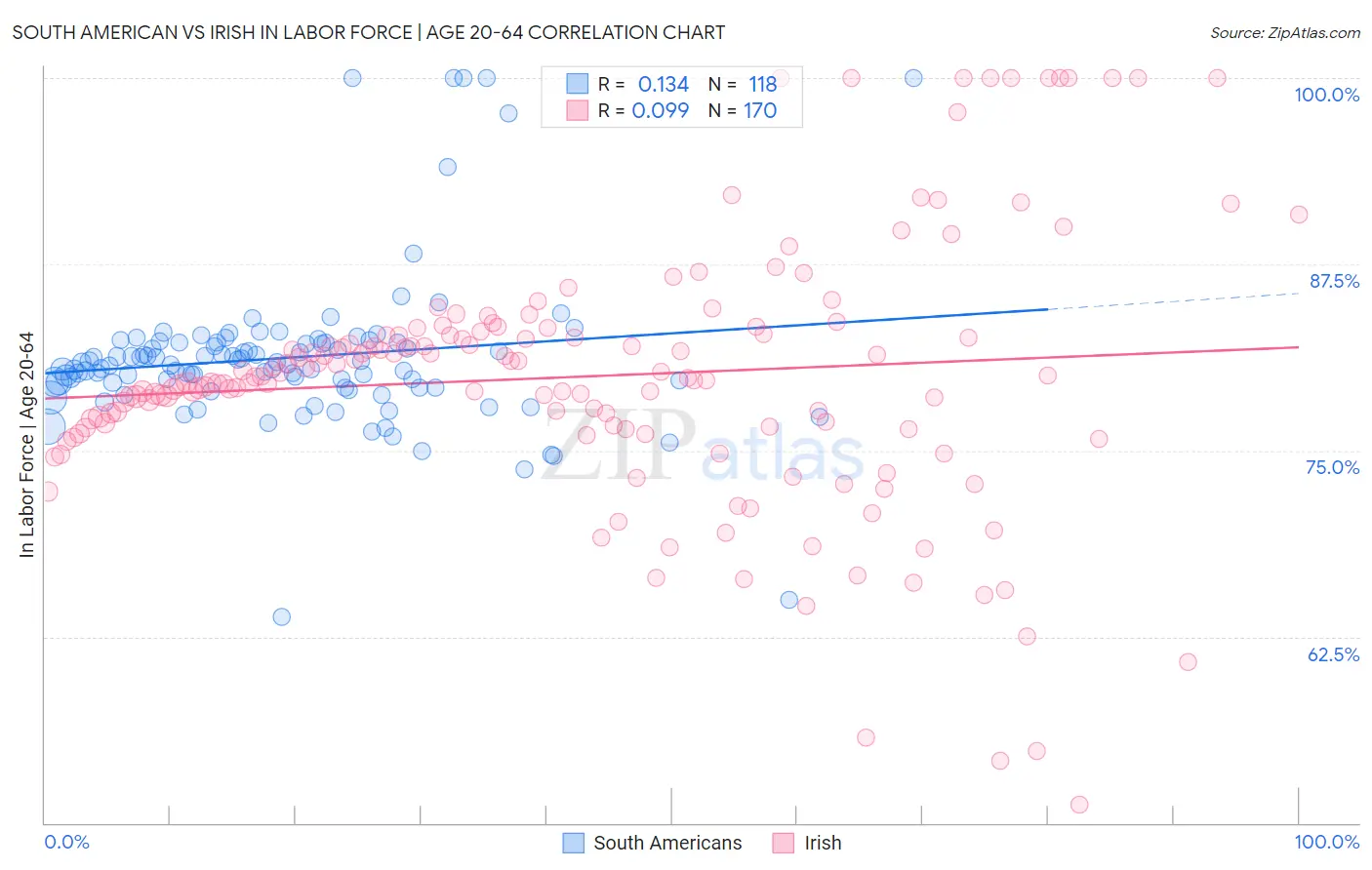 South American vs Irish In Labor Force | Age 20-64