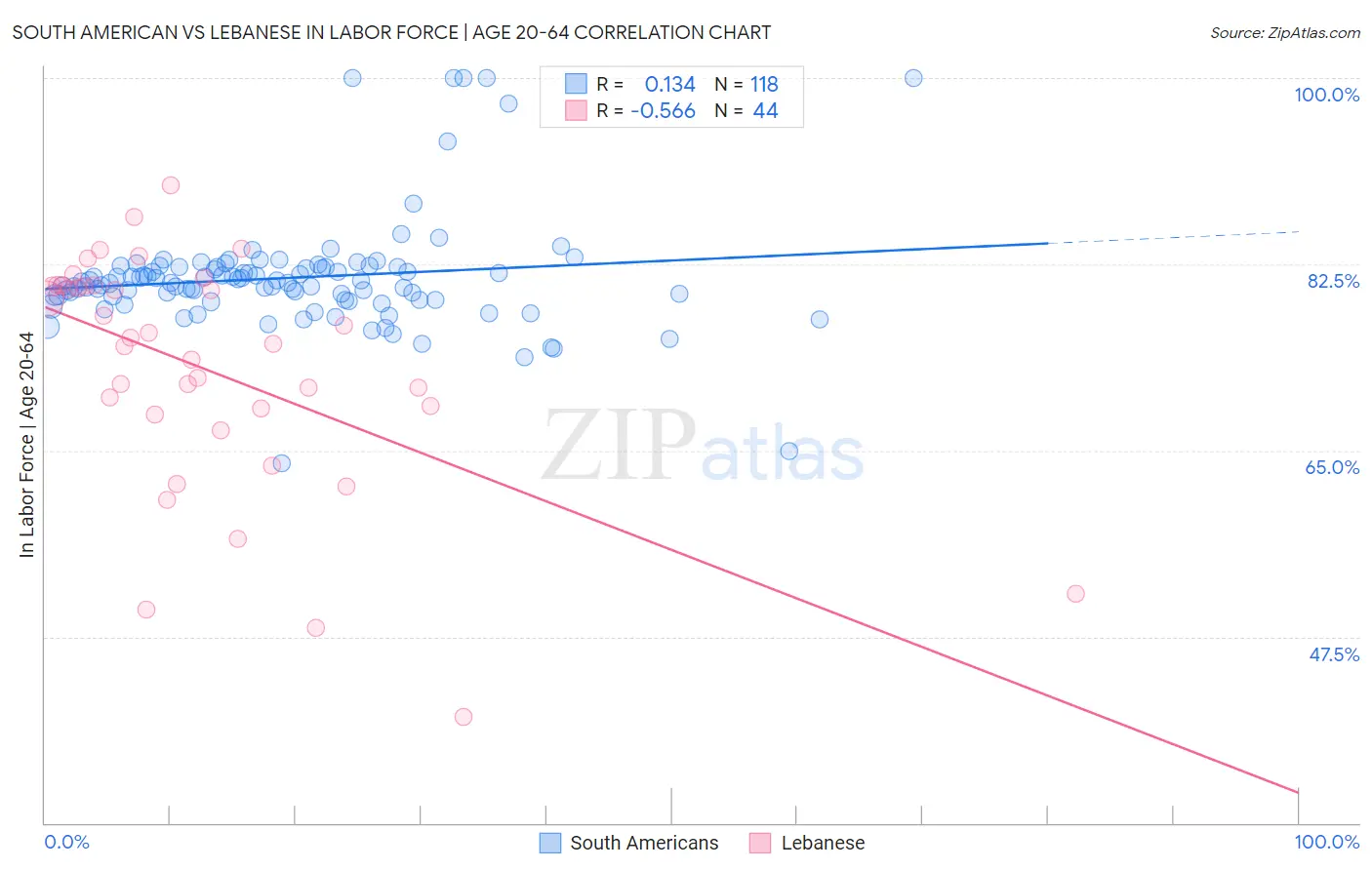 South American vs Lebanese In Labor Force | Age 20-64