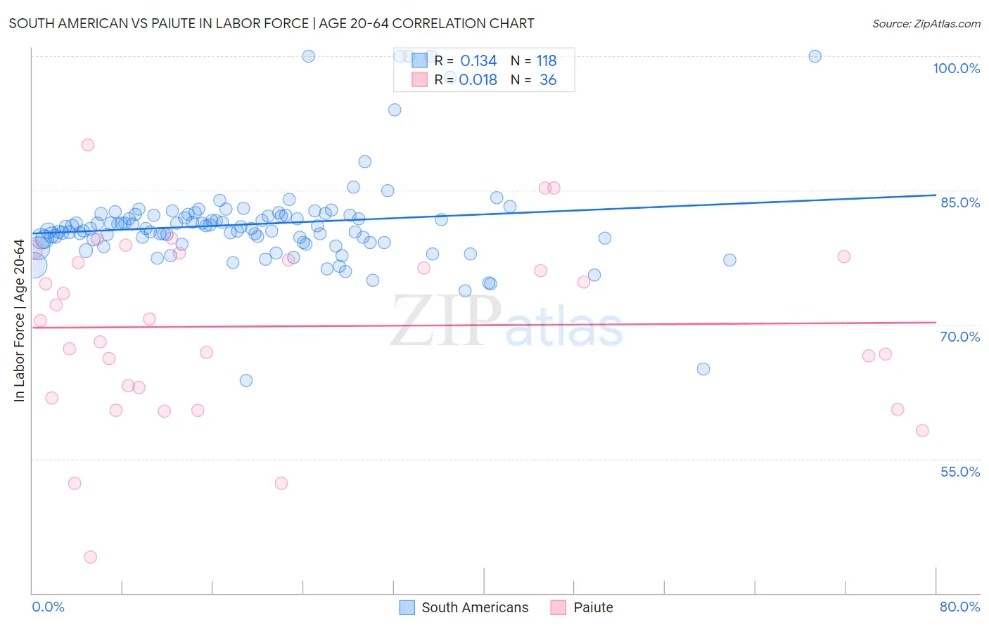South American vs Paiute In Labor Force | Age 20-64