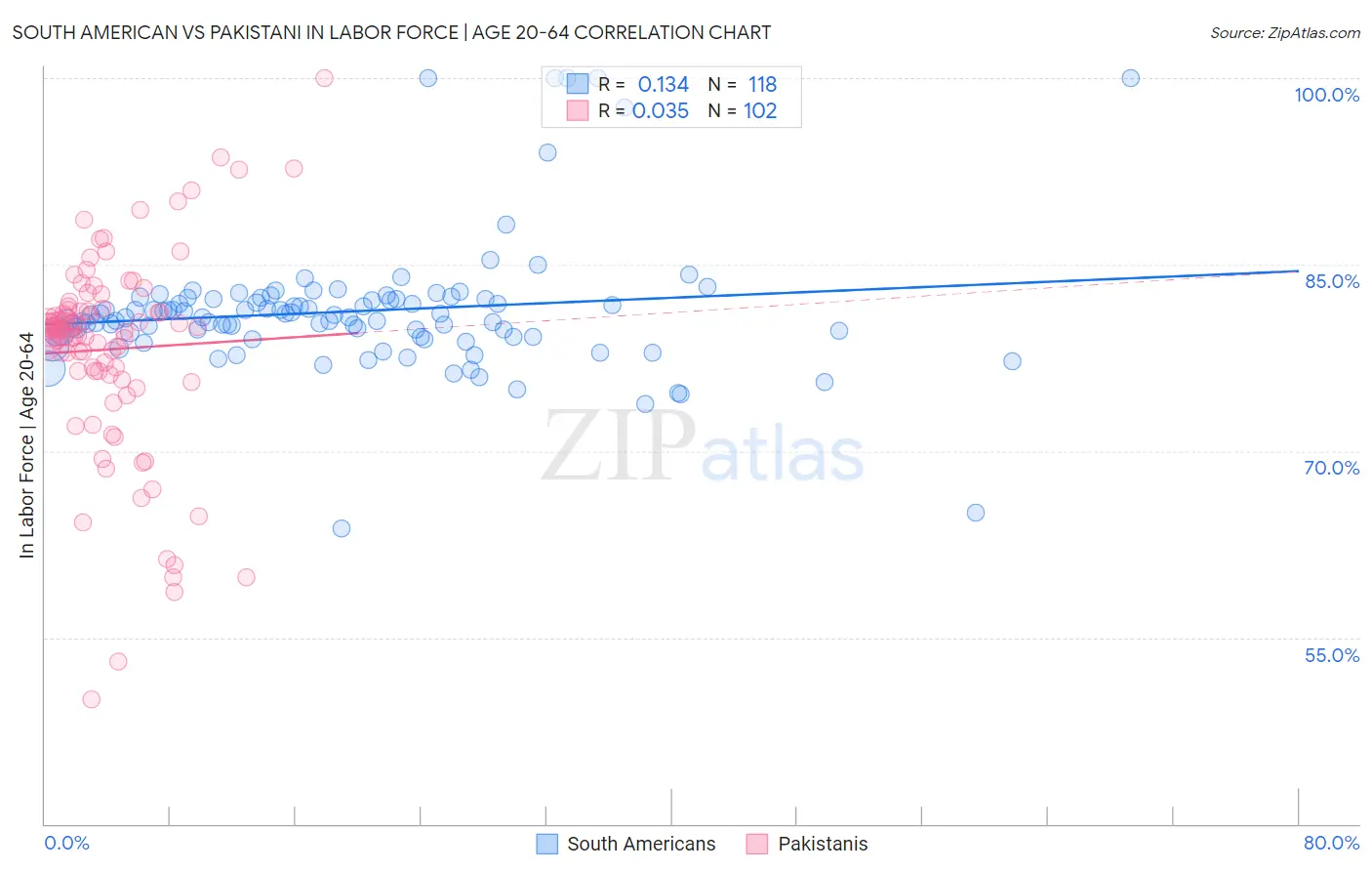 South American vs Pakistani In Labor Force | Age 20-64