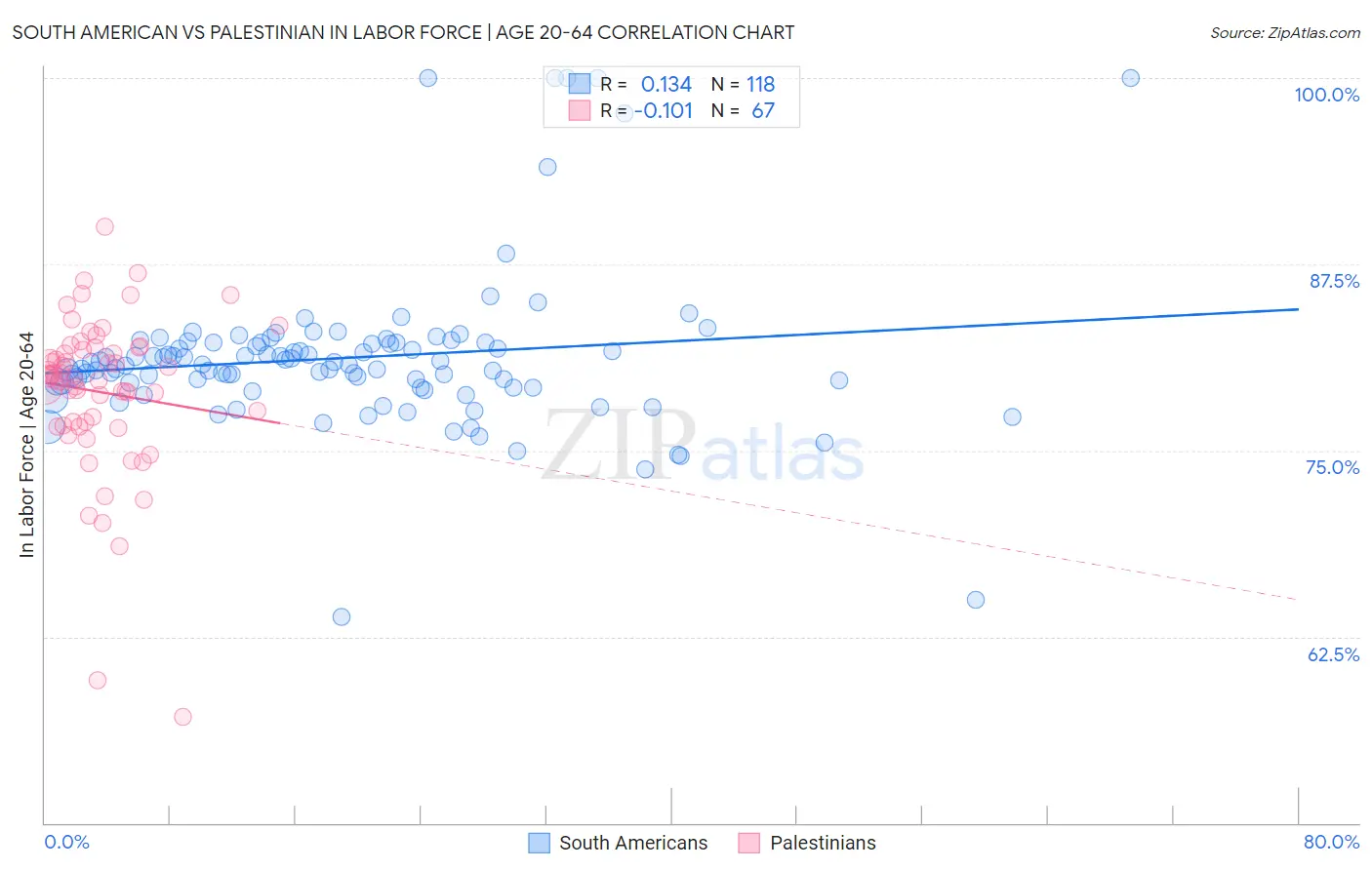 South American vs Palestinian In Labor Force | Age 20-64