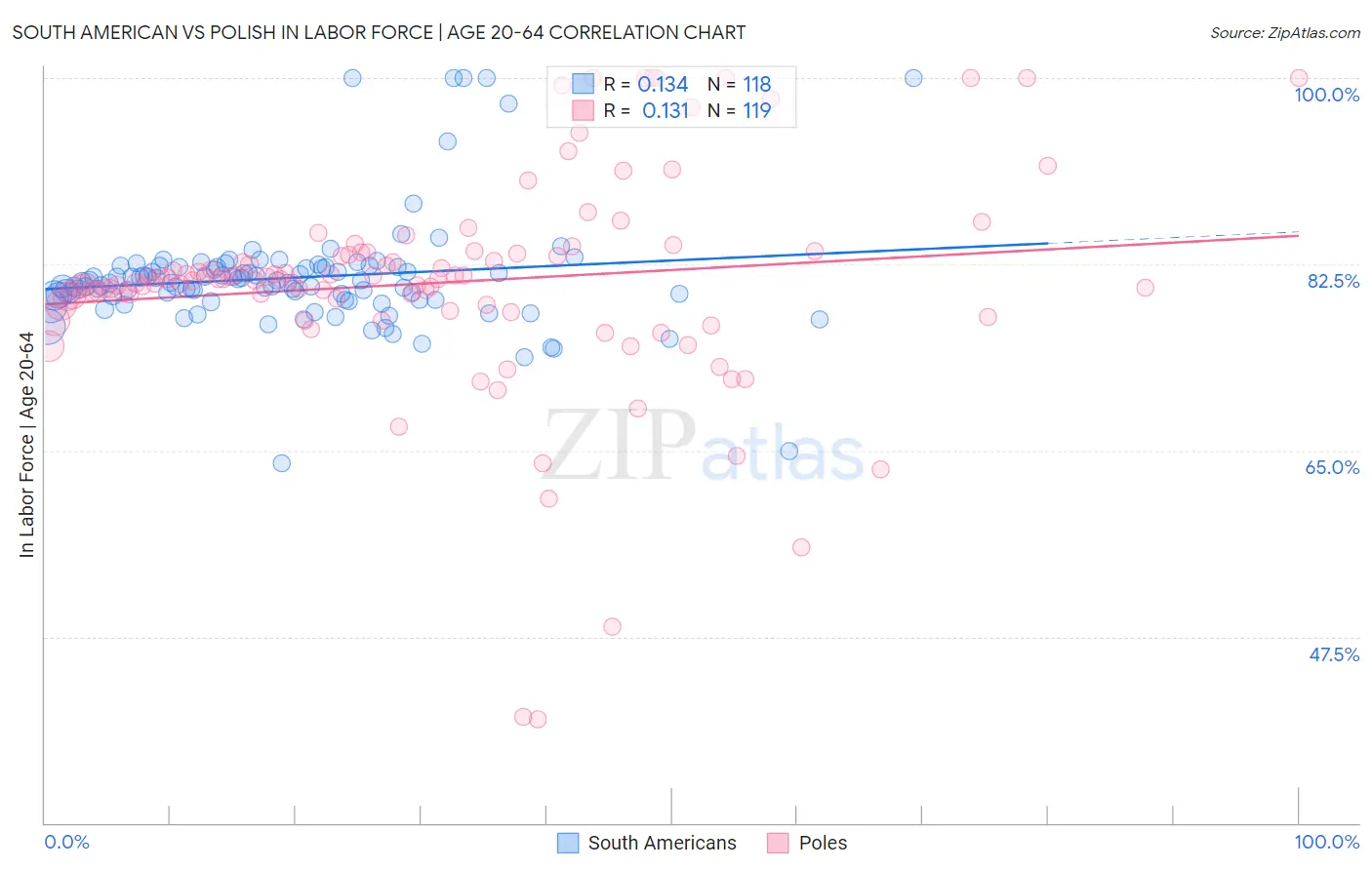 South American vs Polish In Labor Force | Age 20-64