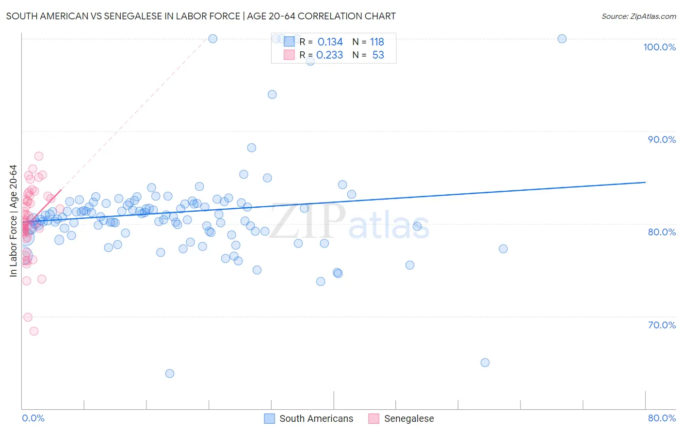 South American vs Senegalese In Labor Force | Age 20-64