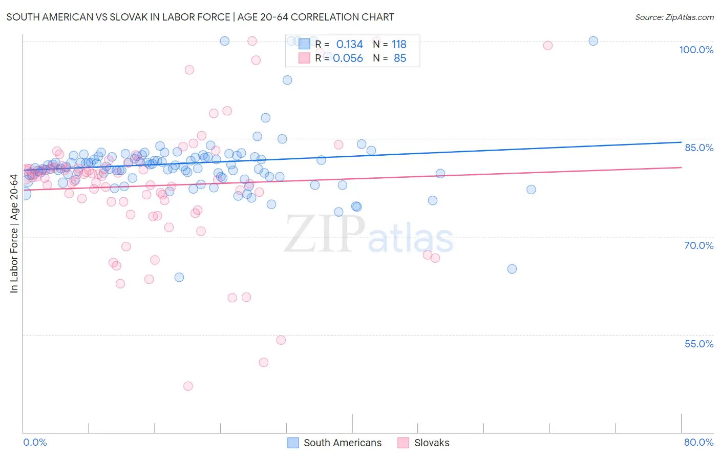South American vs Slovak In Labor Force | Age 20-64