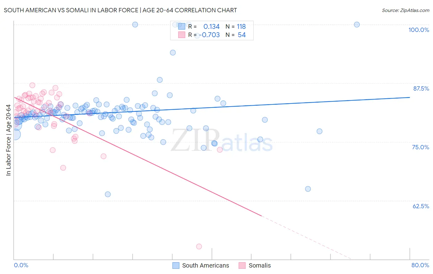 South American vs Somali In Labor Force | Age 20-64