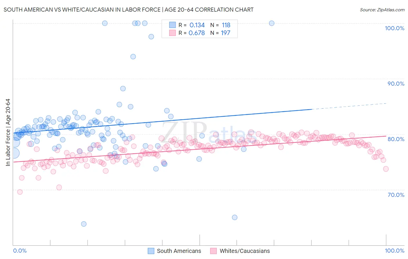 South American vs White/Caucasian In Labor Force | Age 20-64