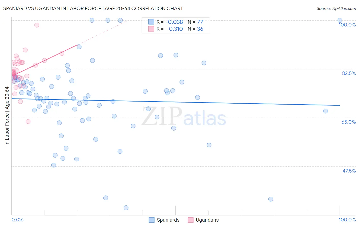 Spaniard vs Ugandan In Labor Force | Age 20-64