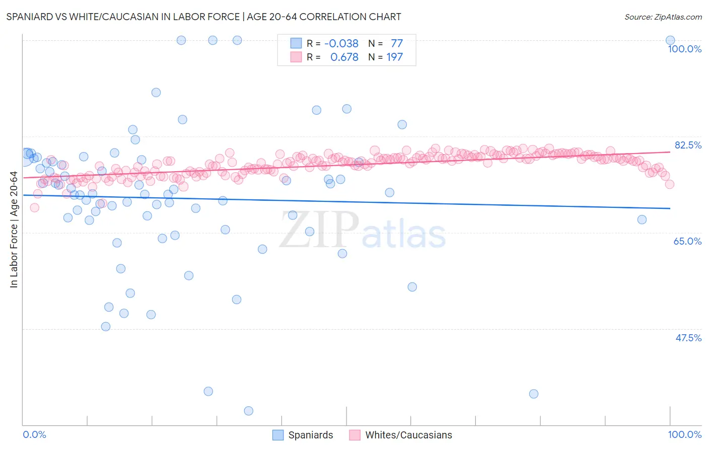 Spaniard vs White/Caucasian In Labor Force | Age 20-64
