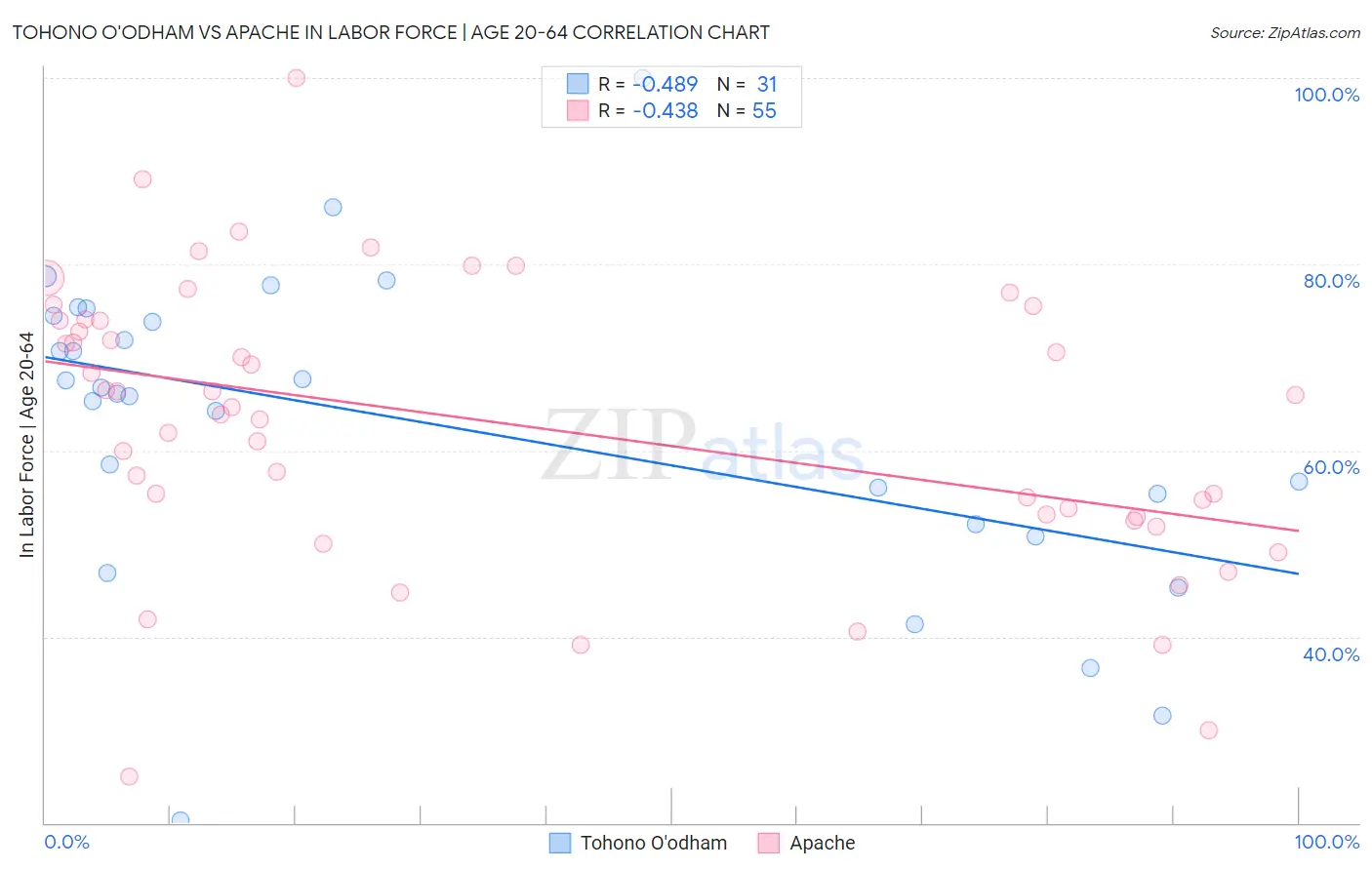 Tohono O'odham vs Apache In Labor Force | Age 20-64