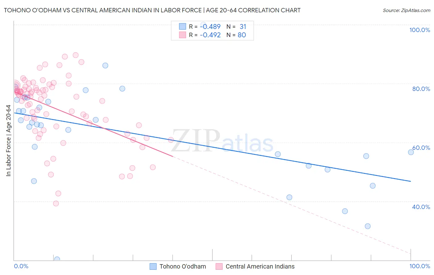 Tohono O'odham vs Central American Indian In Labor Force | Age 20-64