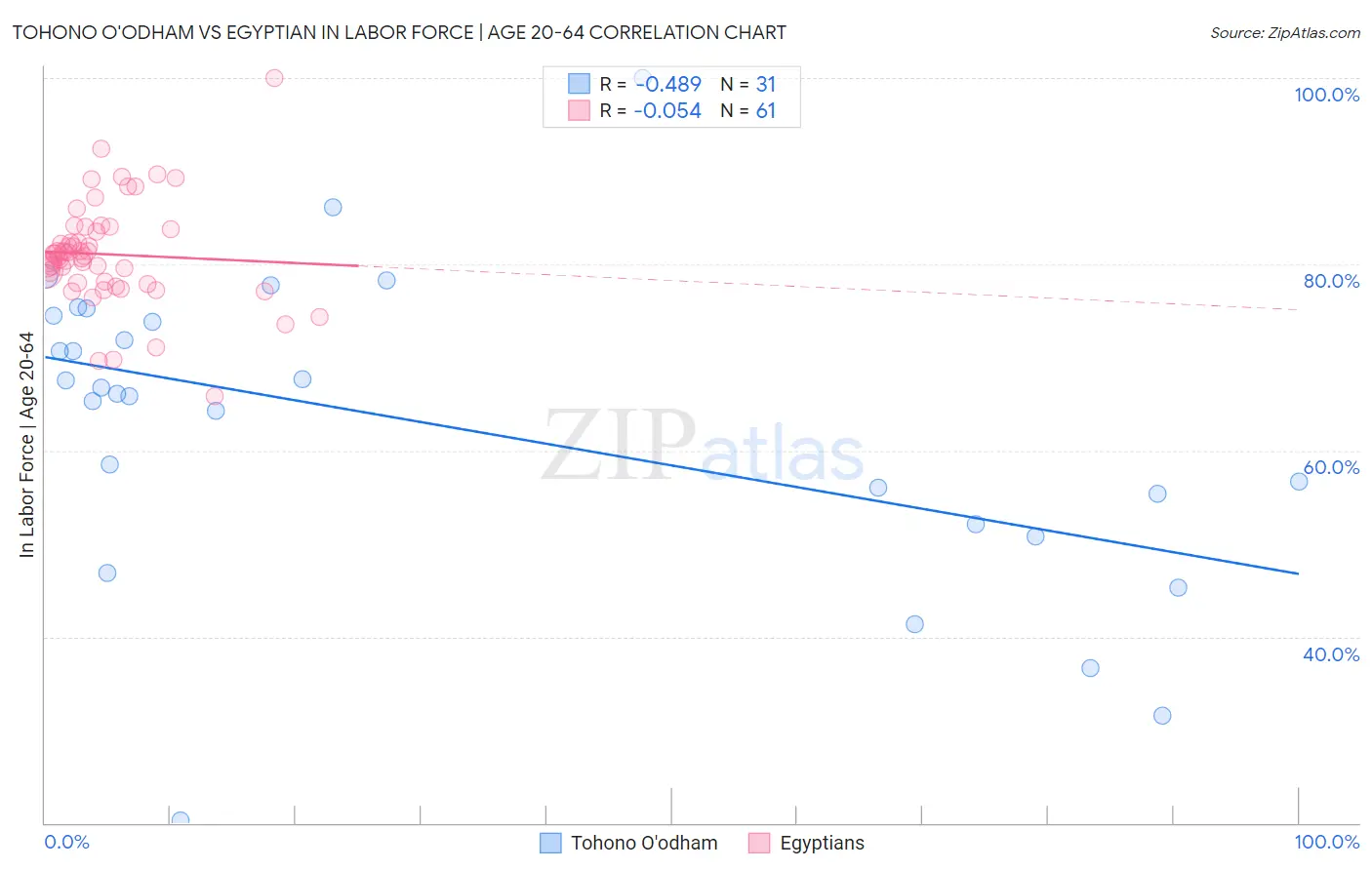 Tohono O'odham vs Egyptian In Labor Force | Age 20-64