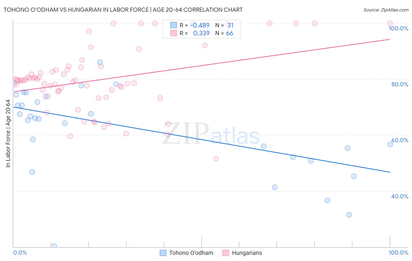 Tohono O'odham vs Hungarian In Labor Force | Age 20-64