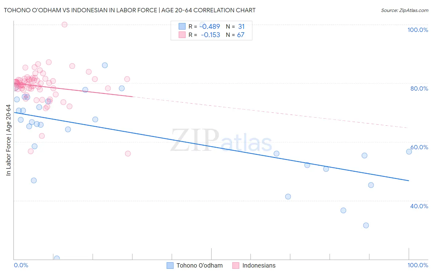Tohono O'odham vs Indonesian In Labor Force | Age 20-64