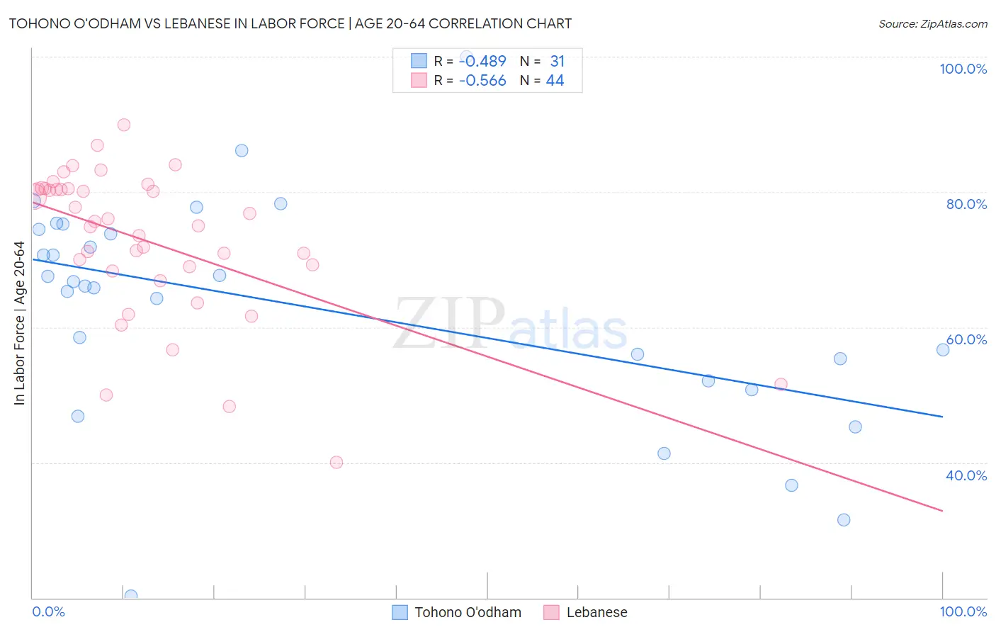 Tohono O'odham vs Lebanese In Labor Force | Age 20-64