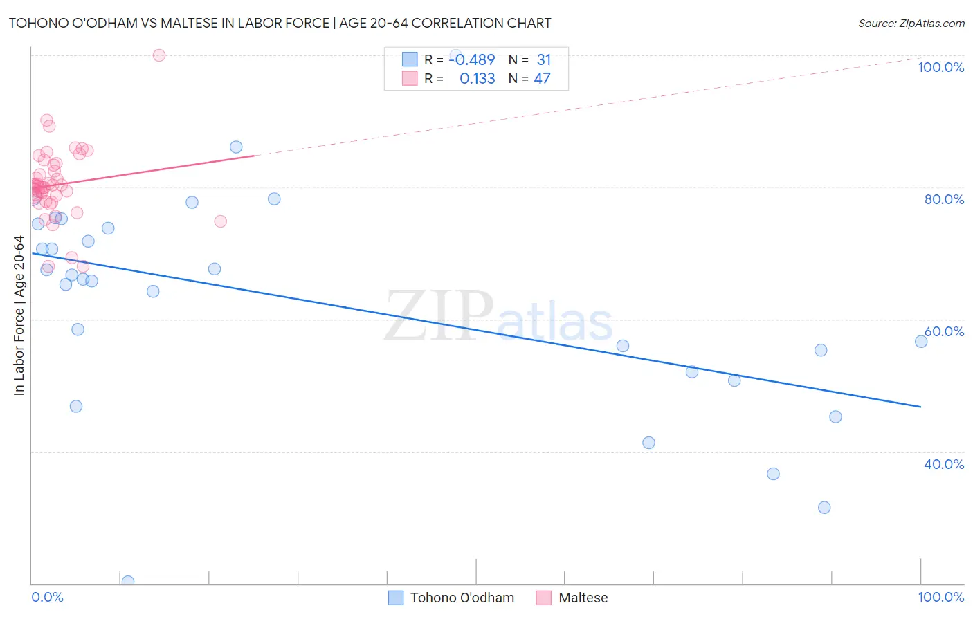Tohono O'odham vs Maltese In Labor Force | Age 20-64