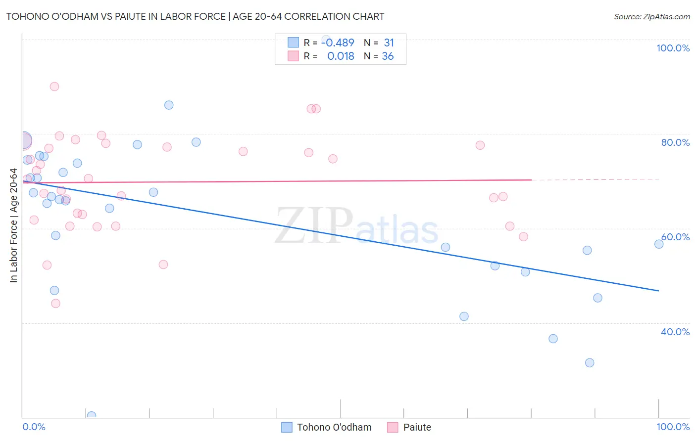 Tohono O'odham vs Paiute In Labor Force | Age 20-64