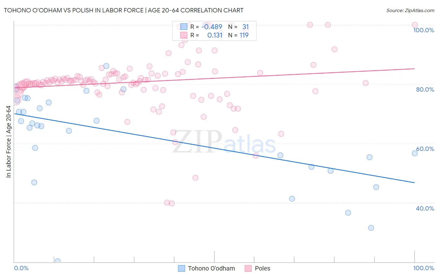 Tohono O'odham vs Polish In Labor Force | Age 20-64