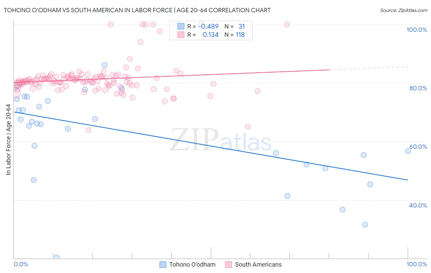 Tohono O'odham vs South American In Labor Force | Age 20-64