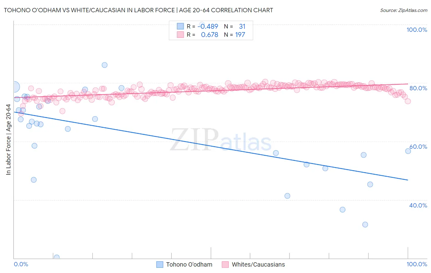 Tohono O'odham vs White/Caucasian In Labor Force | Age 20-64