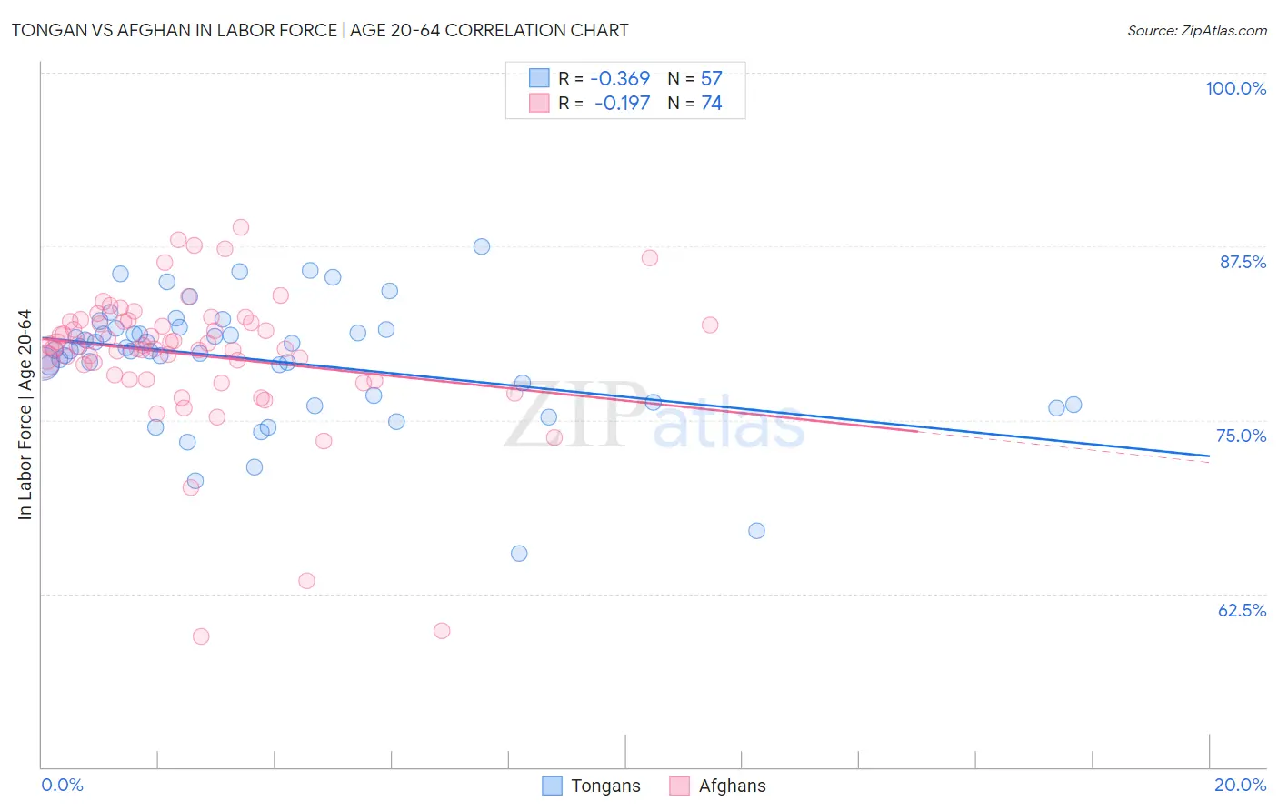 Tongan vs Afghan In Labor Force | Age 20-64