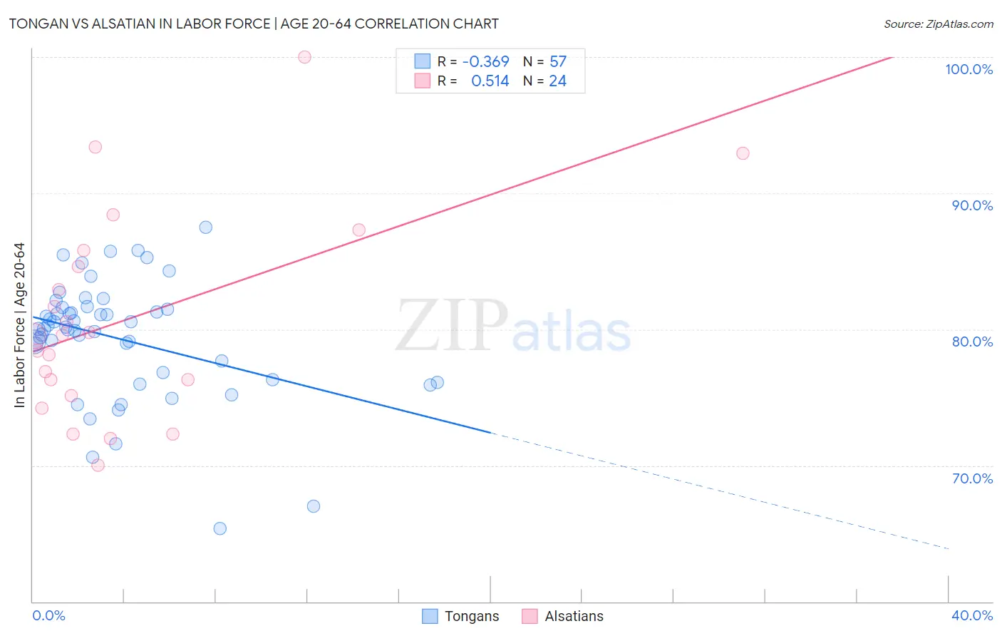 Tongan vs Alsatian In Labor Force | Age 20-64