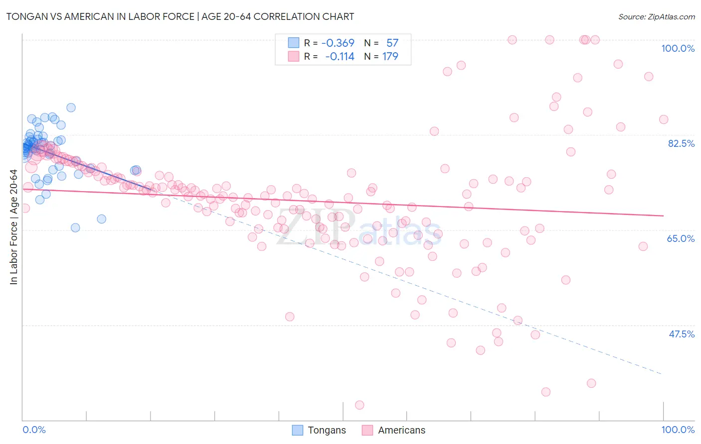 Tongan vs American In Labor Force | Age 20-64
