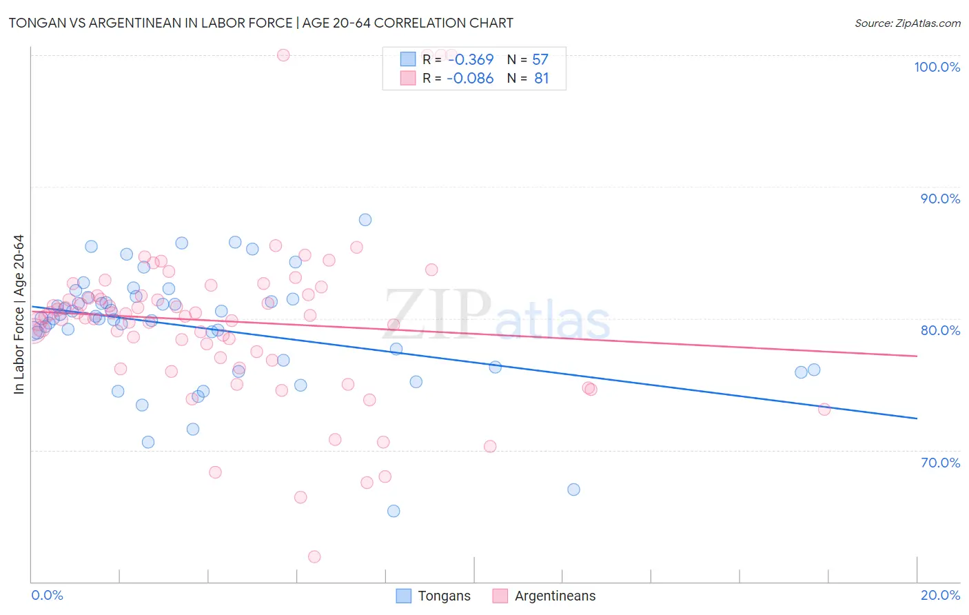 Tongan vs Argentinean In Labor Force | Age 20-64
